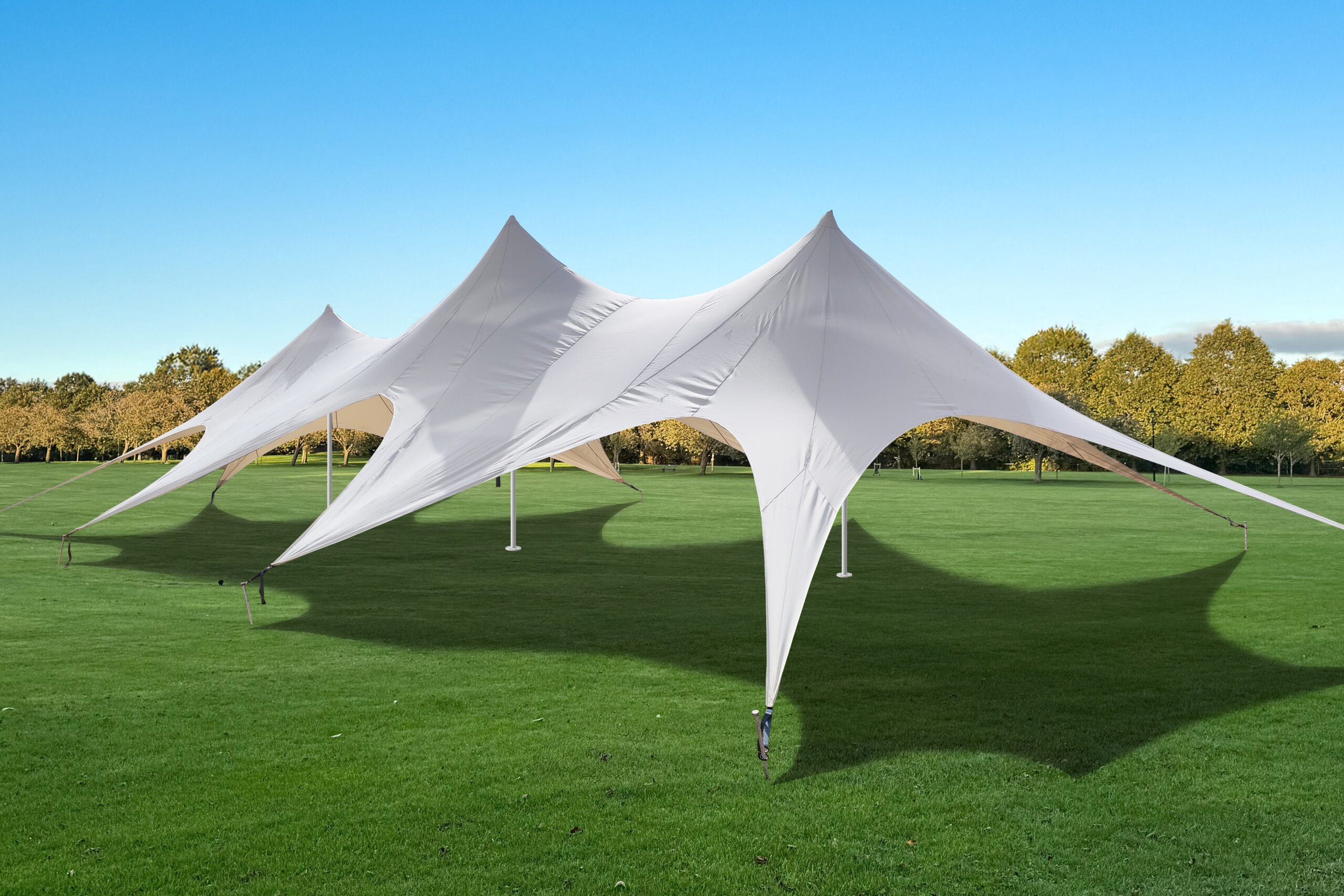 8x20-marquee-scaled.jpg