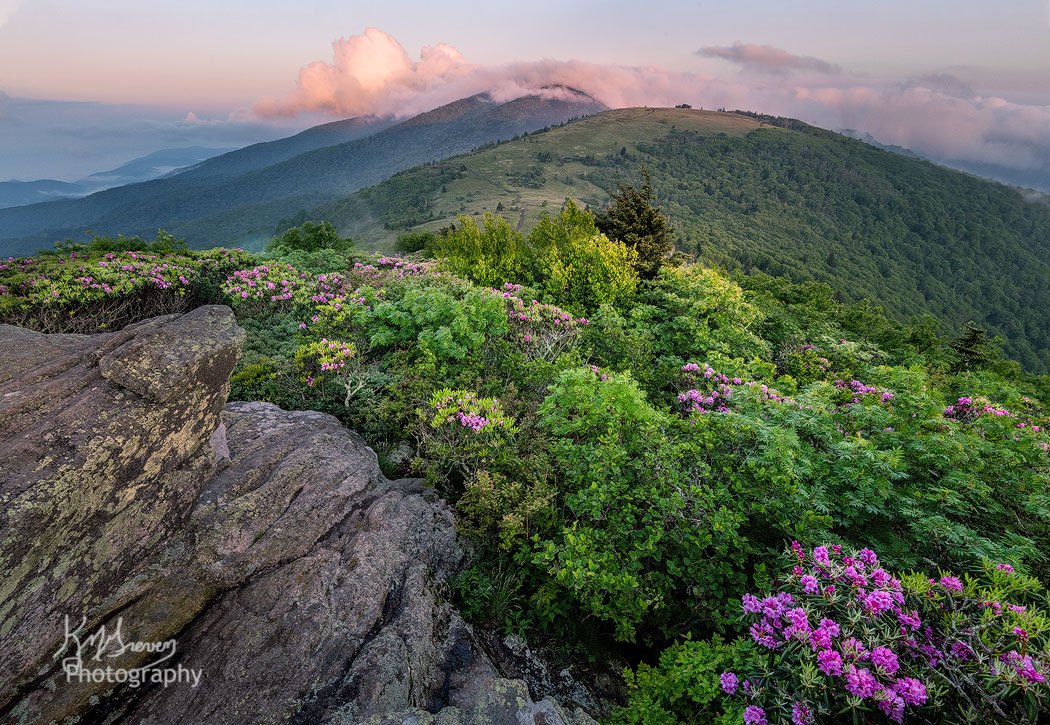 Jane Bald at Sunset