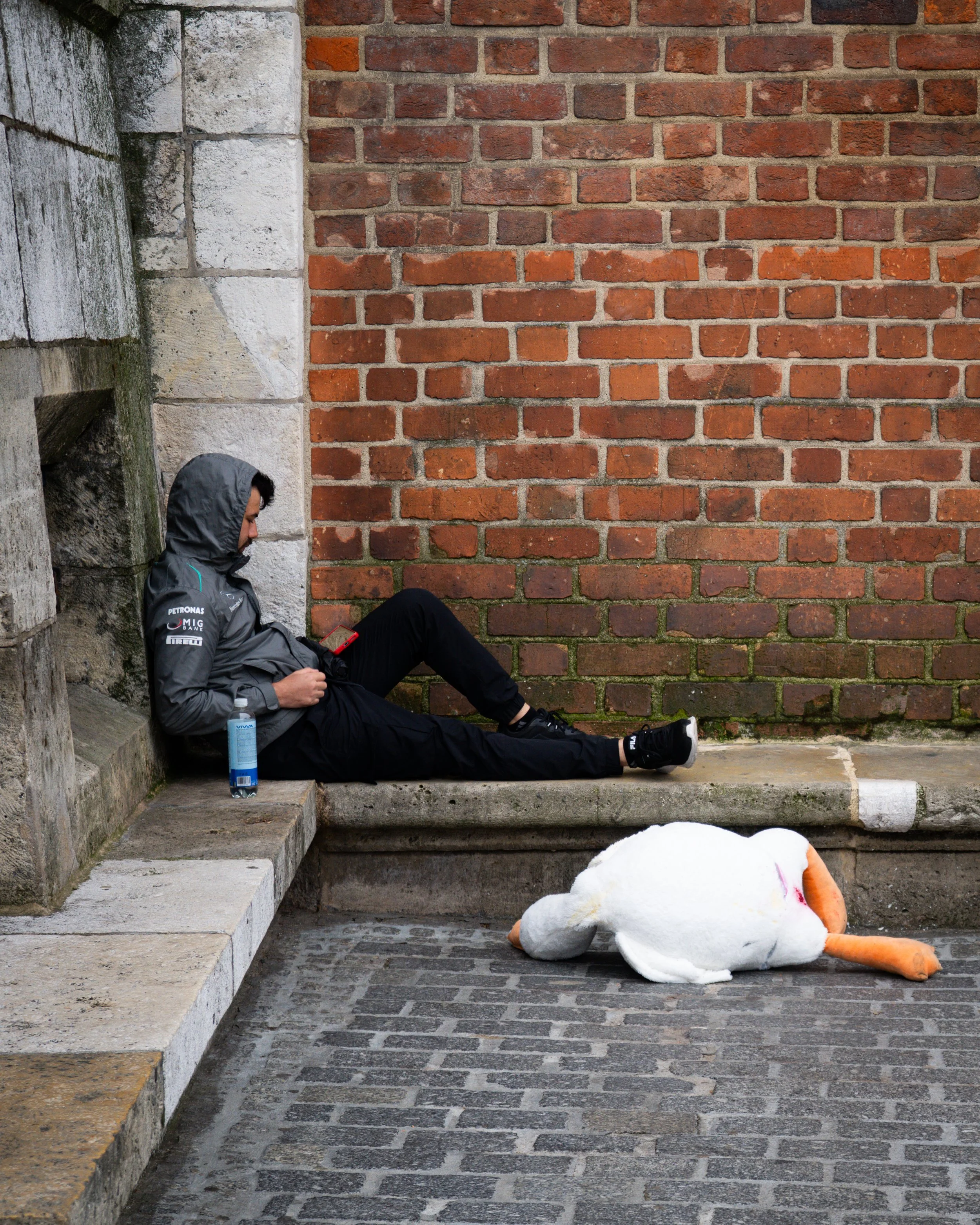 Man and Stuffed Goose, Krakow. 2025.