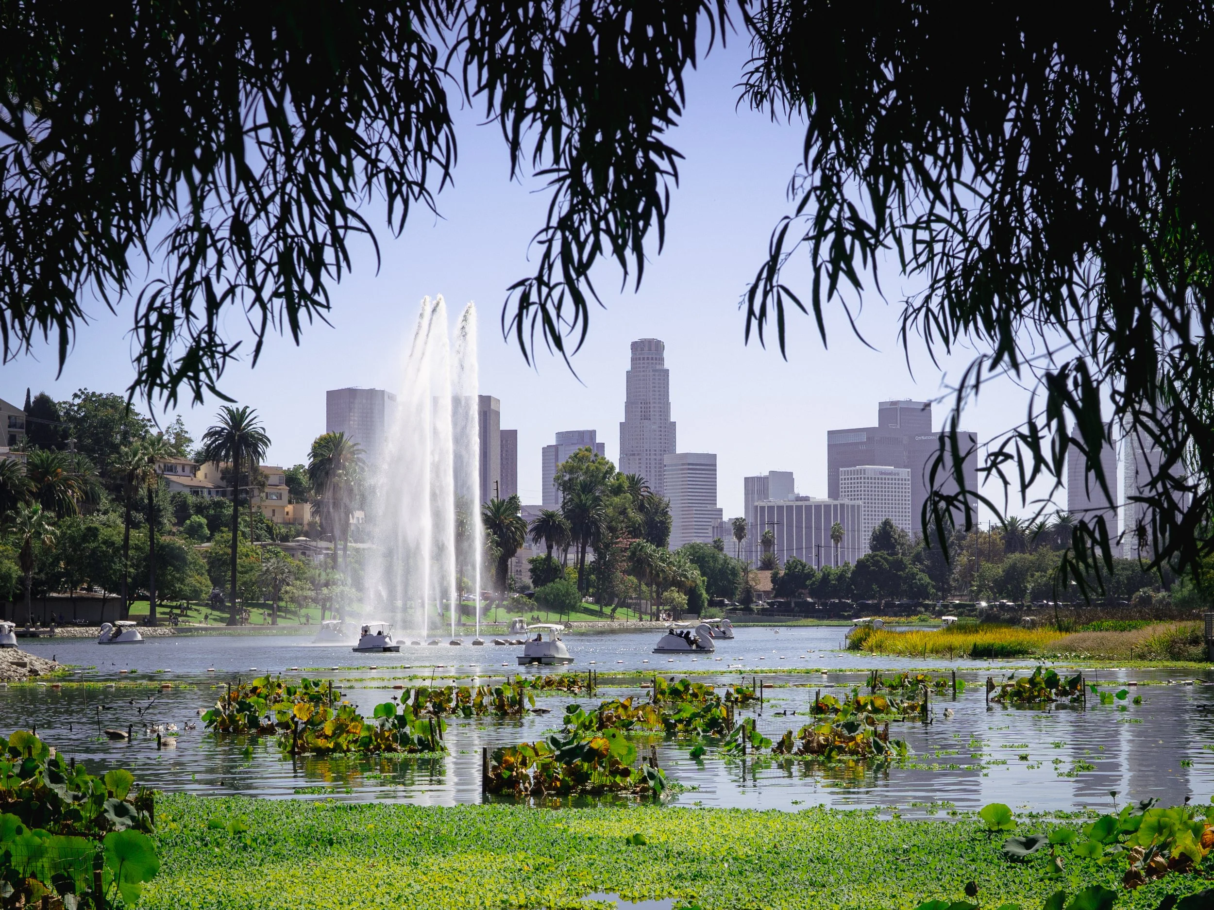 Echo Park, Los Angeles. 2023.