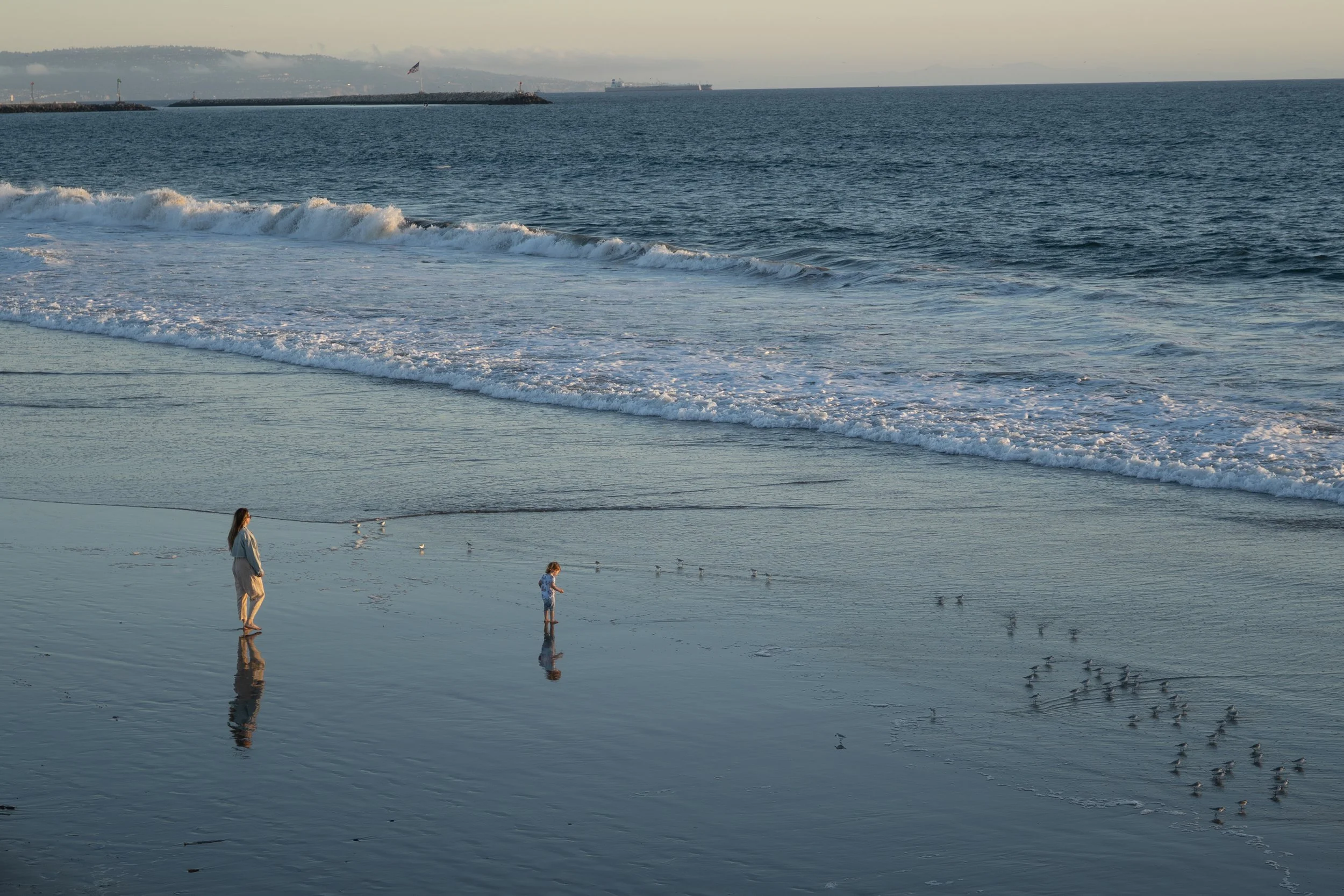 Venice Beach, California. 2023. 