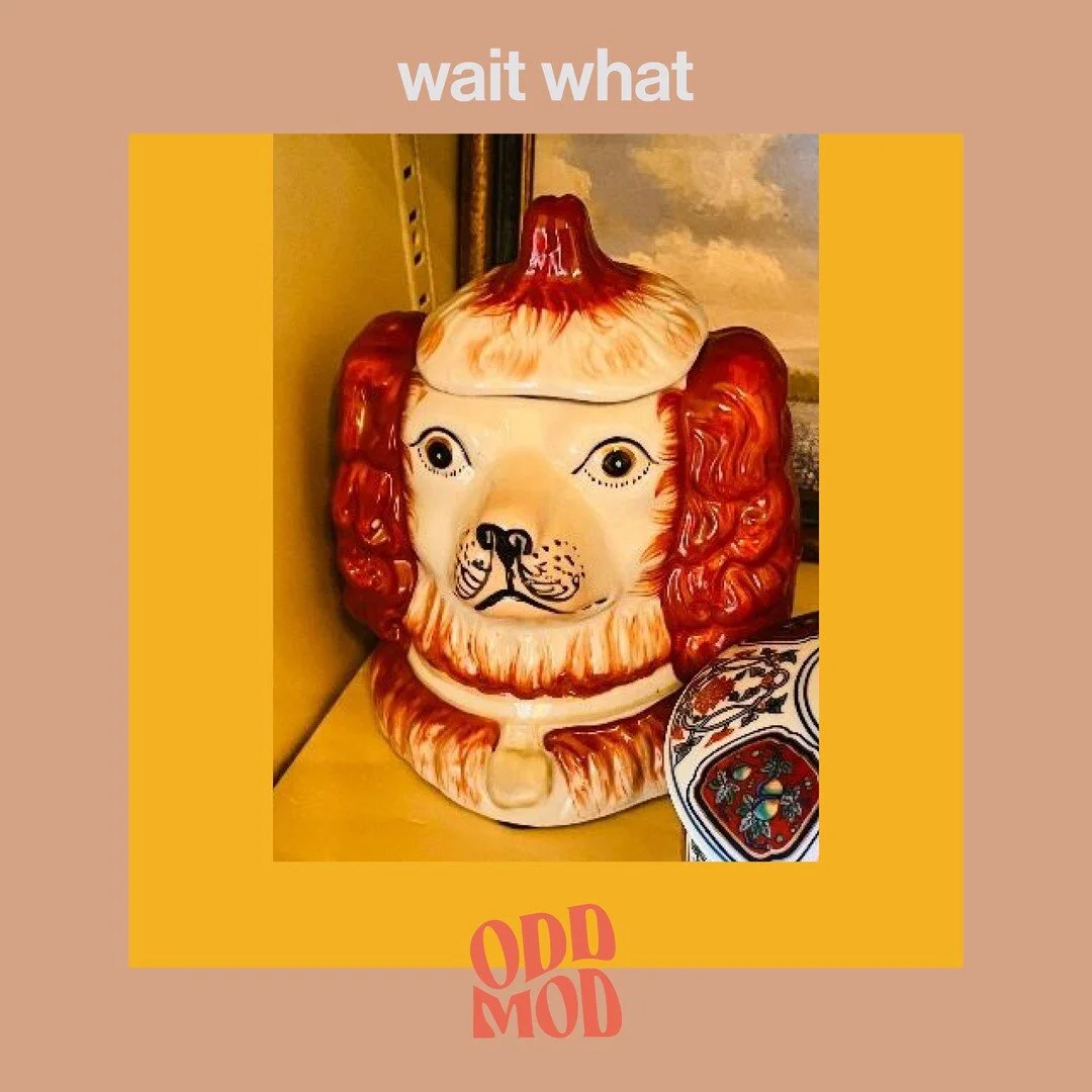 the face on this cookie jar says it all: it has seen some things, and it will never, ever be the same⁠
⁠
🚩 DFW Estate Liquidators, Dallas⁠
⁠
#oddmodfinds #vintagegonewild #wildvintage #dallasvintage #vintage #estatesalesgonewild