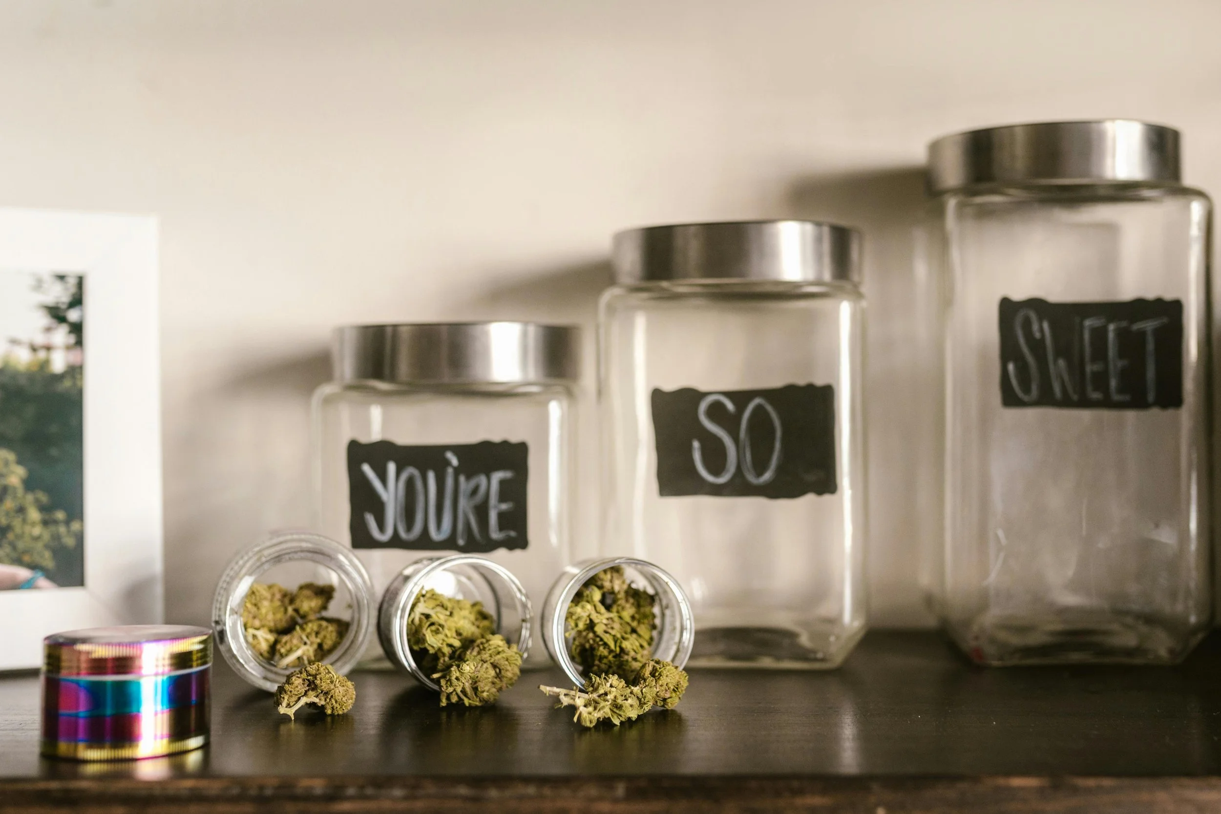 Storing Cannabis in Florida’s Humidity: Best Practices