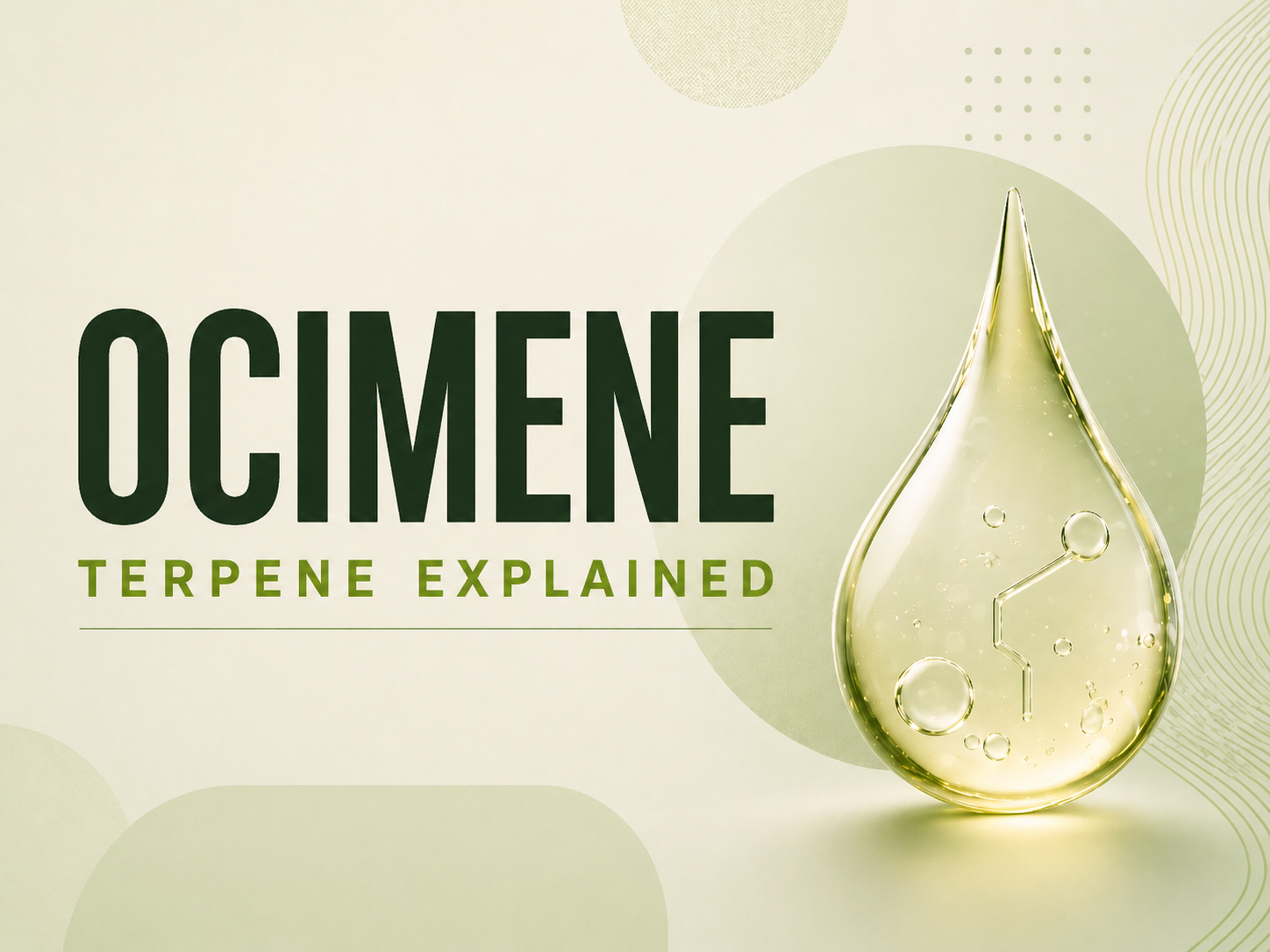 Ocimene Terpene: Potential Effects and Medical Relevance