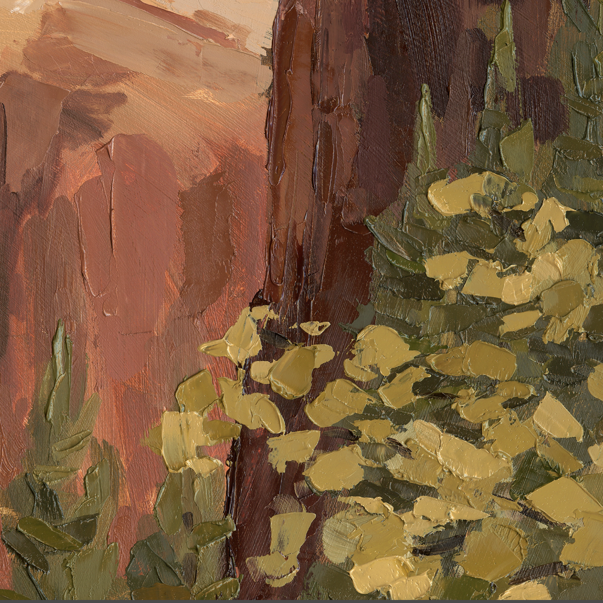 zion national park zoom.png