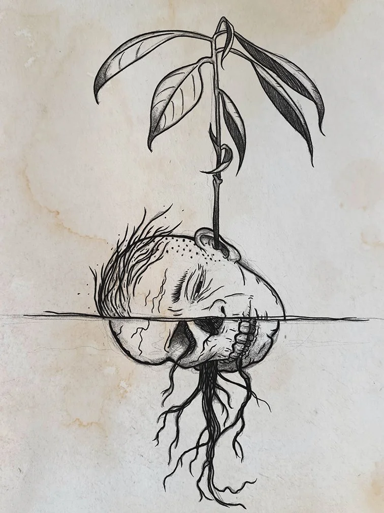 Sprout.jpg