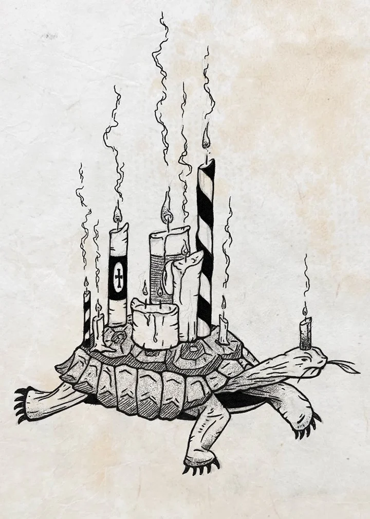 Birthday_Turtle.jpg