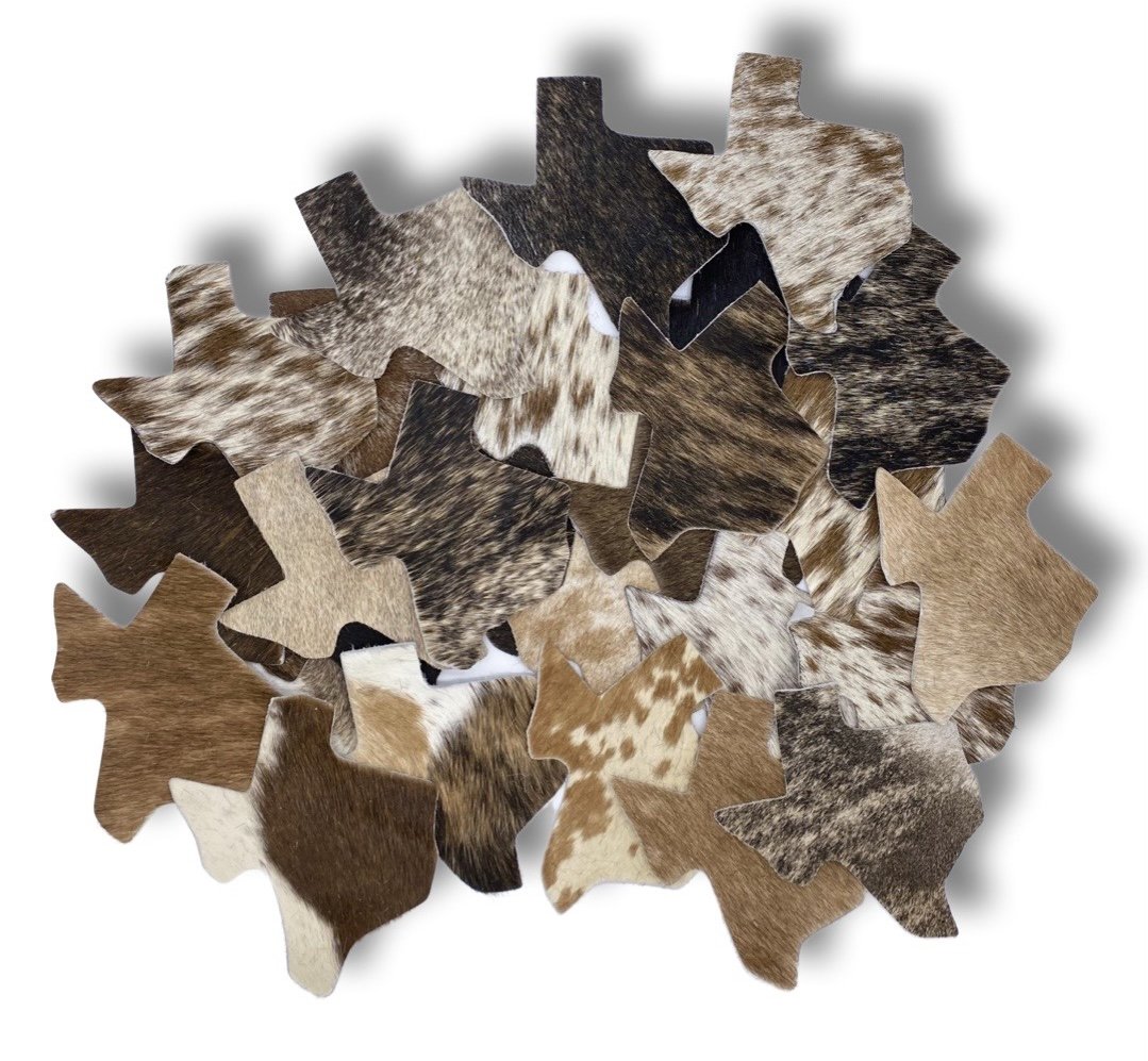 Texas Shape Coasters EHJTT