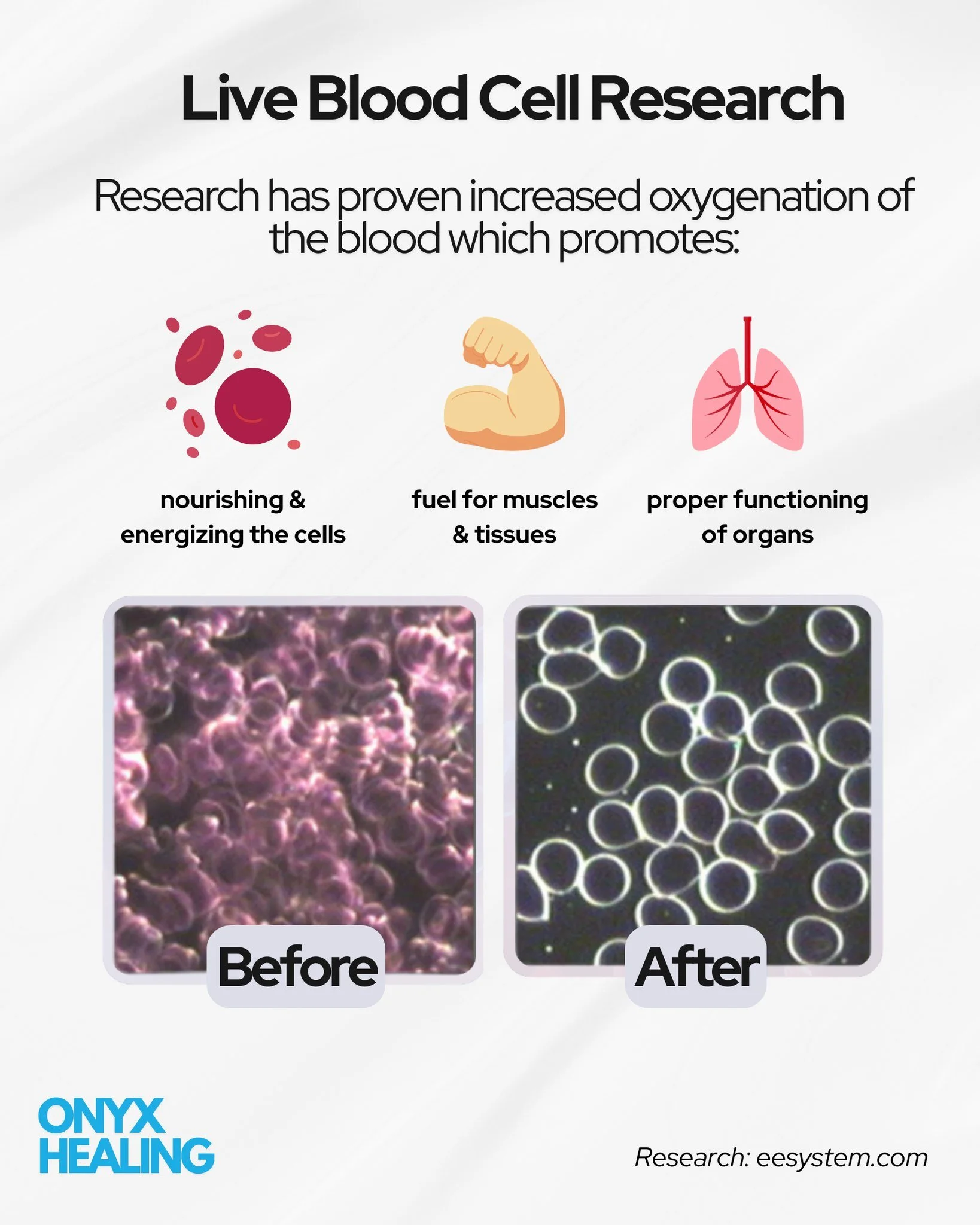 How's your blood flow and circulation?  EESystem research indicates improvement in oxygenation of the blood before and after sessions.

Oxygenated blood supports:
✨ Nourishing &amp; energizing the cells
✨ Fuel for muscles
✨ Proper functioning of orga