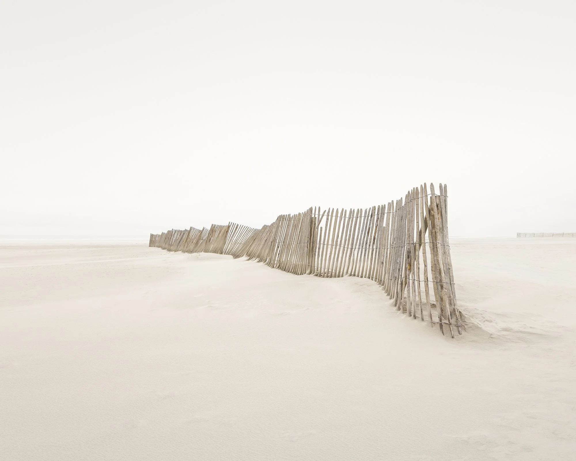 Disparaitre Website.jpg