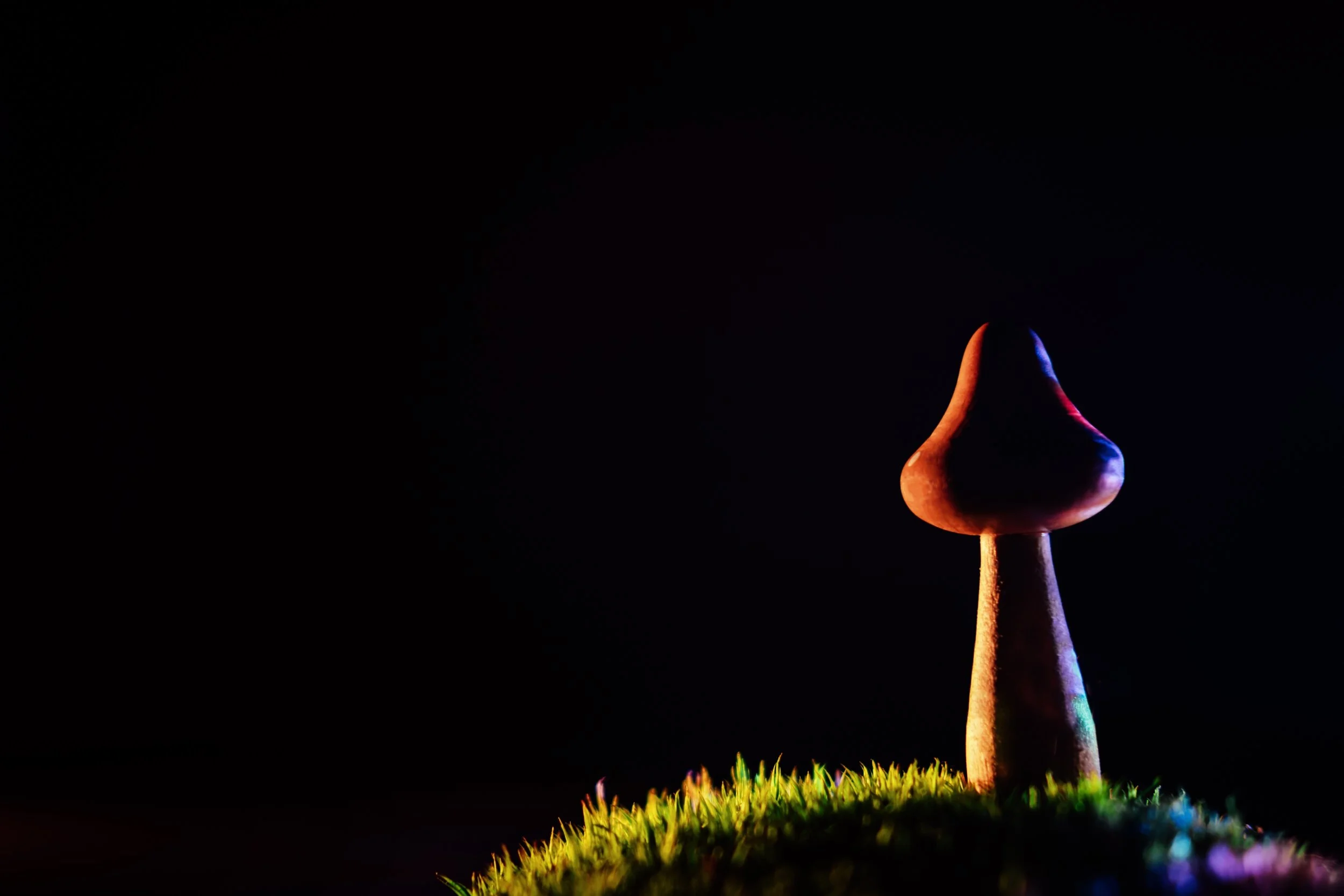 Healing Trauma with EMDR and Psychedelic Integration