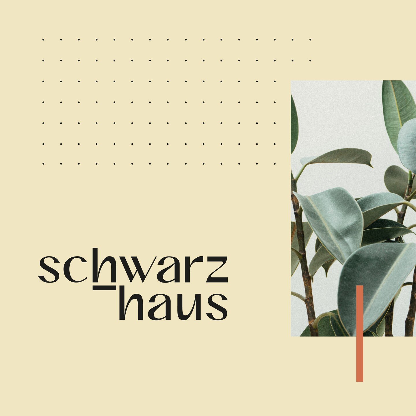Para el dise&ntilde;o de la identidad de Schwarz Haus (@schwarzhaus), se ide&oacute; un sistema gr&aacute;fico que se basa en la abstracci&oacute;n minimalista de conceptos relacionados a la forma de operar de la empresa, como tambi&eacute;n a los ma