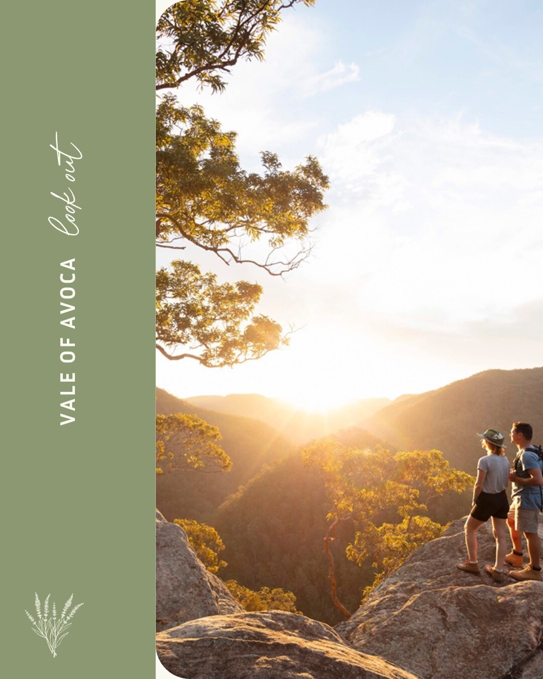 The Vale of Avoca Lookout, Grose Vale is perfect for retreat groups to:⁠
- enjoy the sunset⁠
- take a short walk which leads to breathe-taking views⁠
- journal and set intentions⁠
⁠
Retreat leader tip:⁠
Including a walk, or moment in nature is a way 