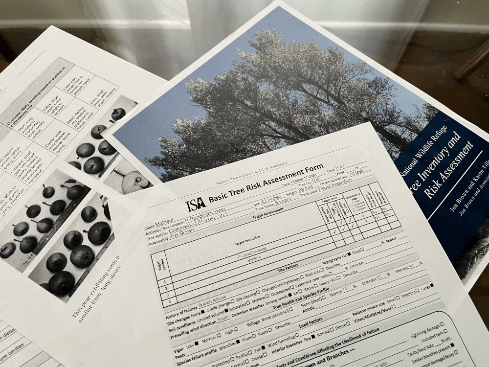Exploded Tree Risk Area Tree Risk Assessment — PRUNUS