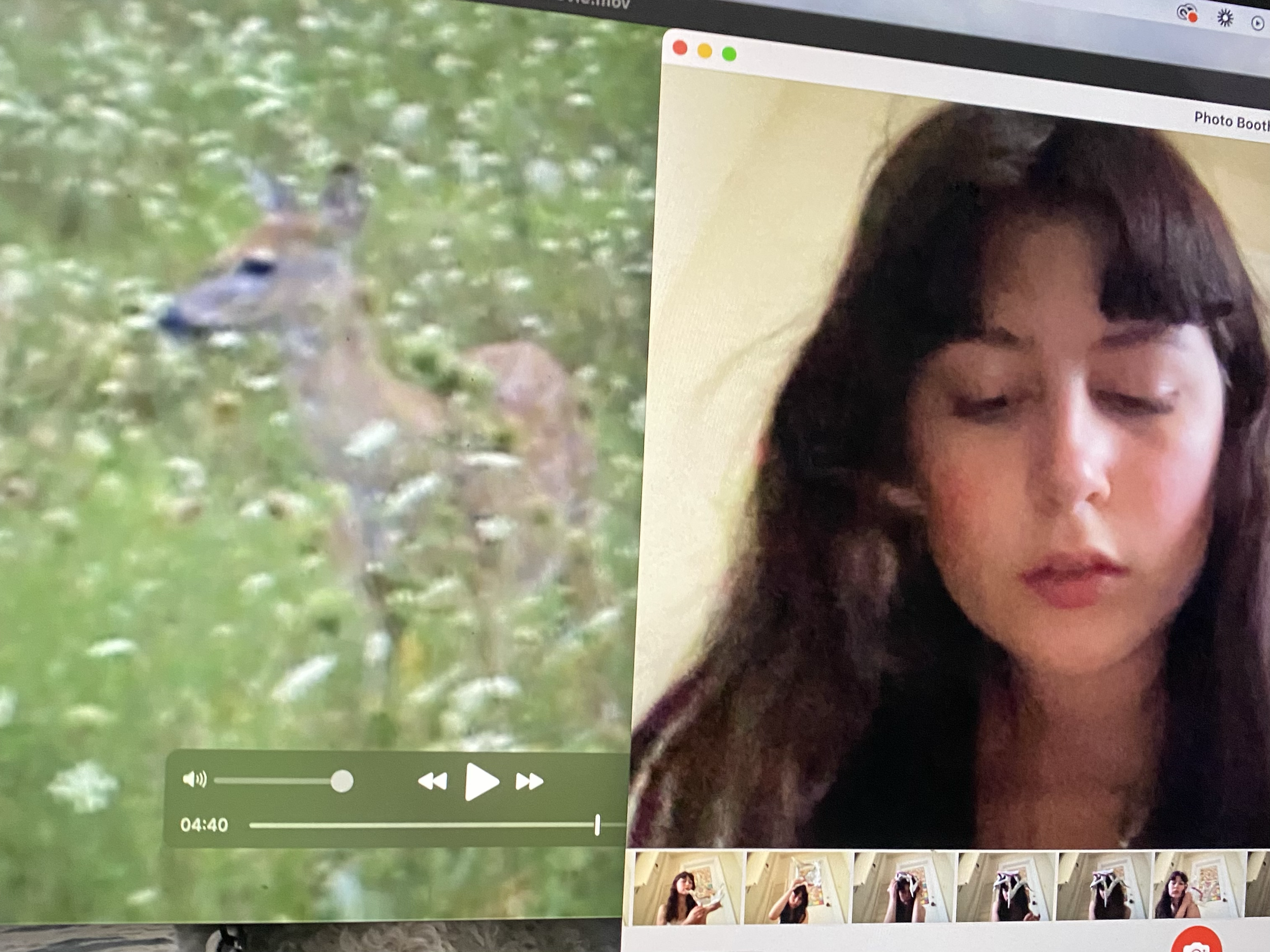 me in the computer with a deer 