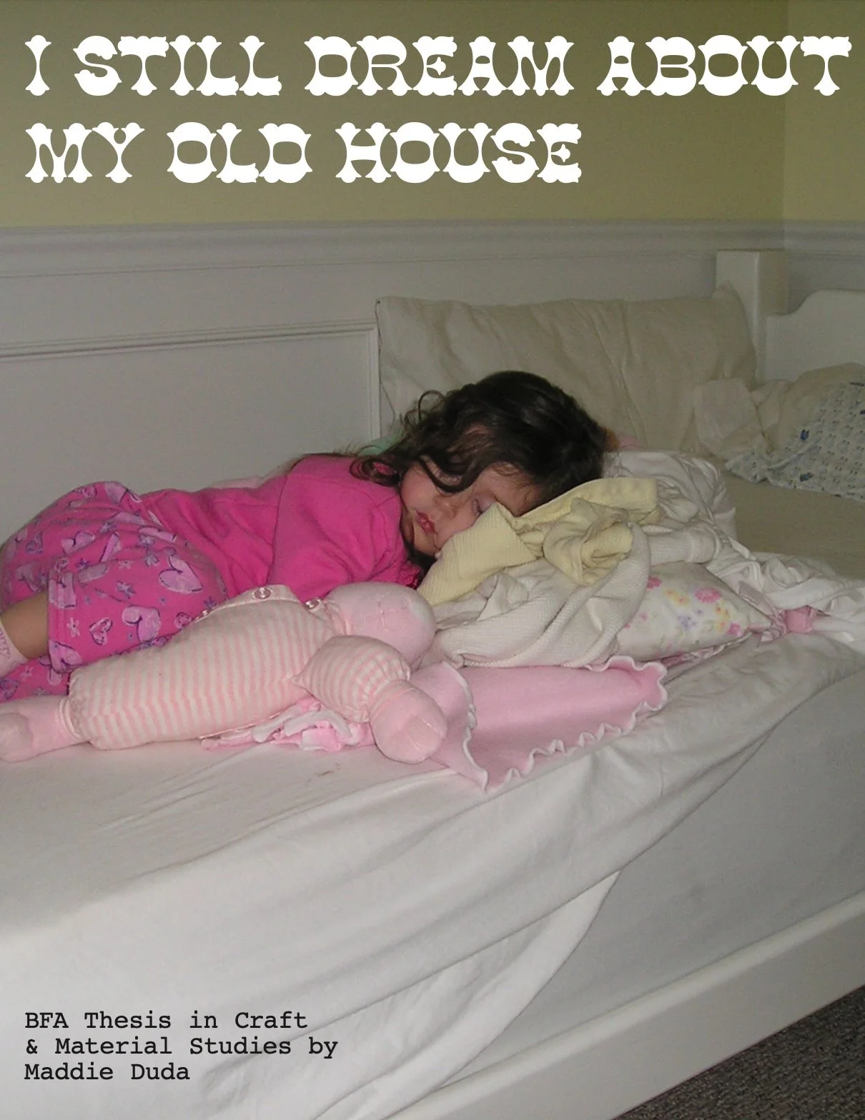 the cover of my thesis book