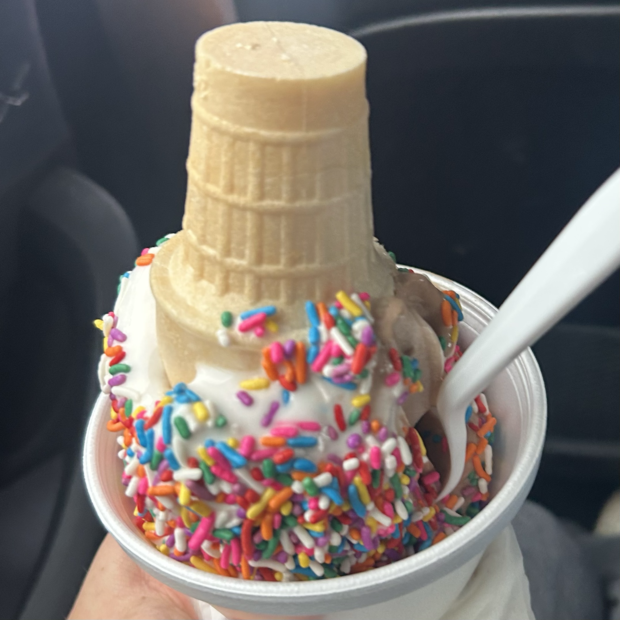 the vegan ice cream I dream about every day