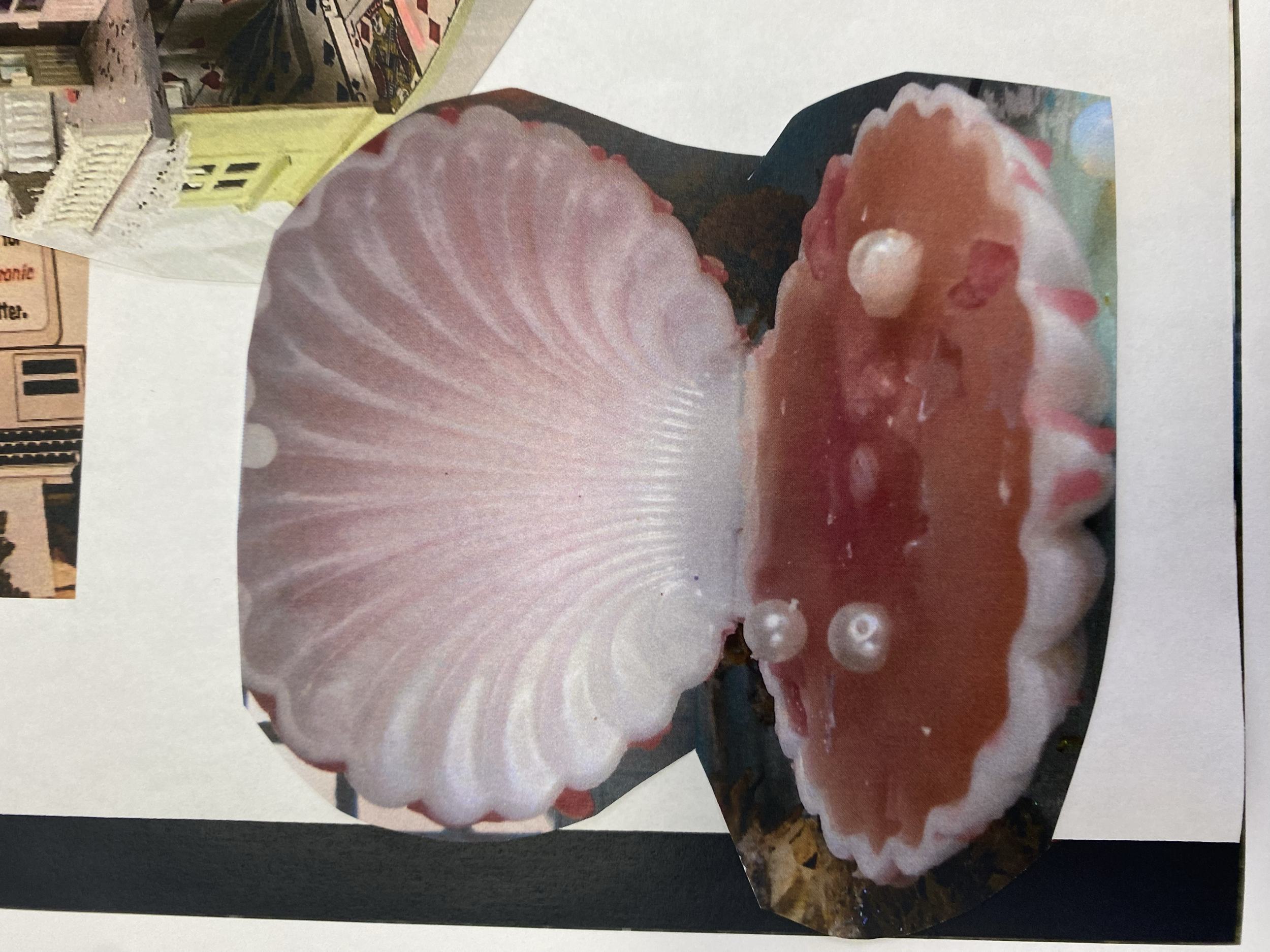 from when I was making my inspiration wall in my junior studio. A plastic shell filled with pink wax and pearl beads, printed on paper 