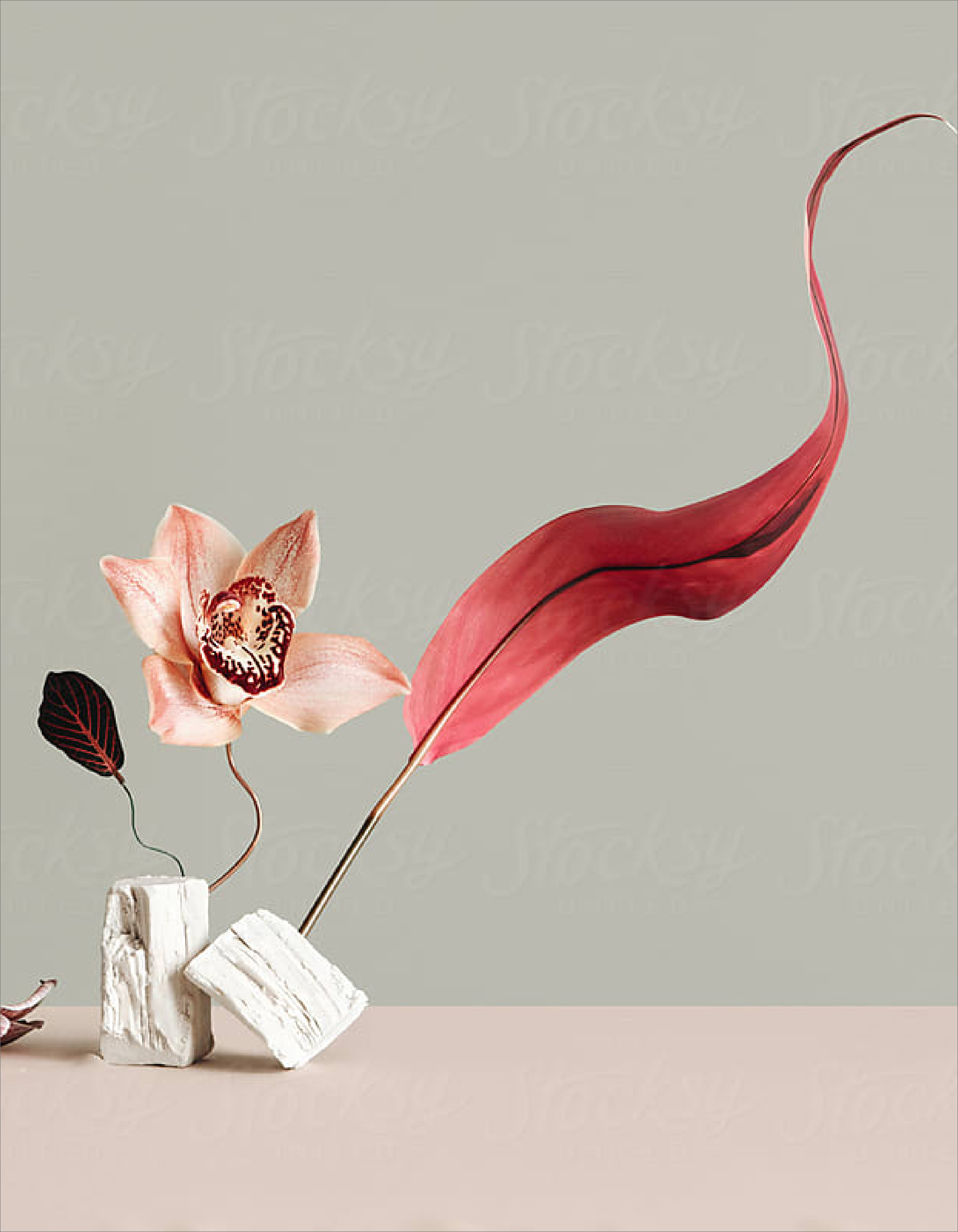Sherri Cooper