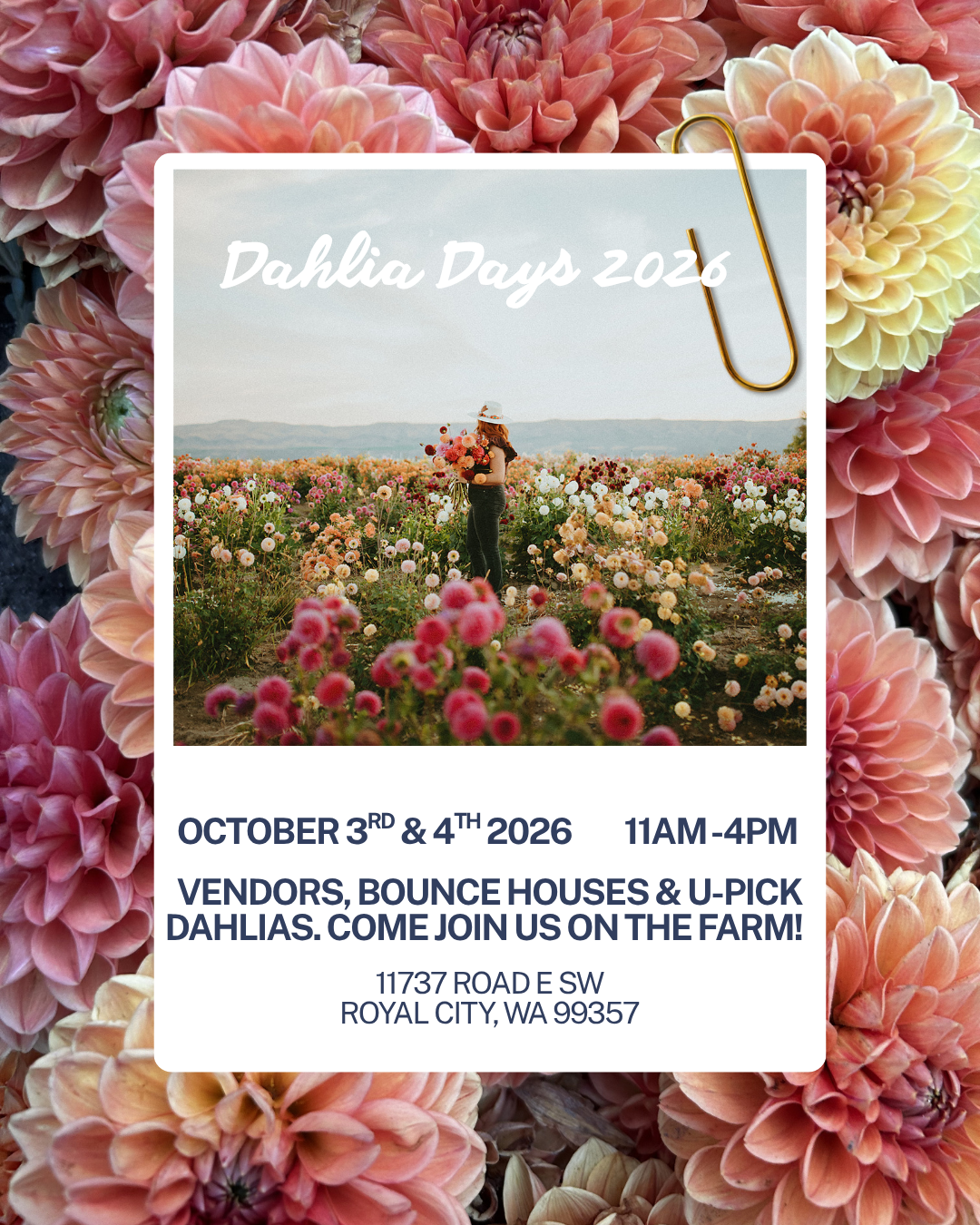 Dahlia Days 2026.png