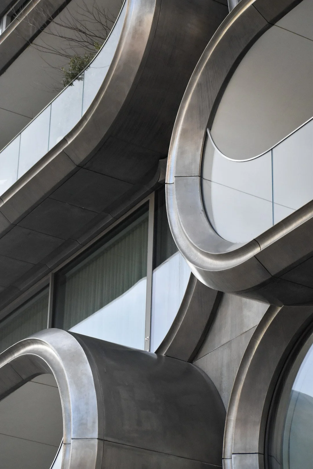 Zaha_Closeup.jpg