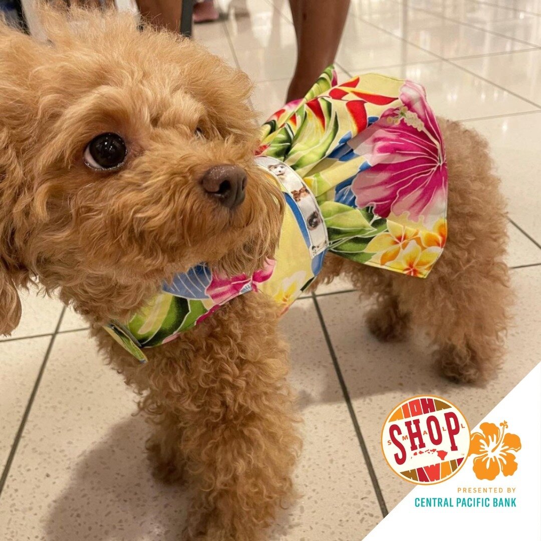 &ldquo;The Island Pooch specializes in hand-made, small- to medium-sized dog clothing and accessories influenced by Hawaiian designs, prints, and fabrics. Pet couture Island style!&rdquo; @theislandpooch

Jean at The Island Pooch, grew up watching he