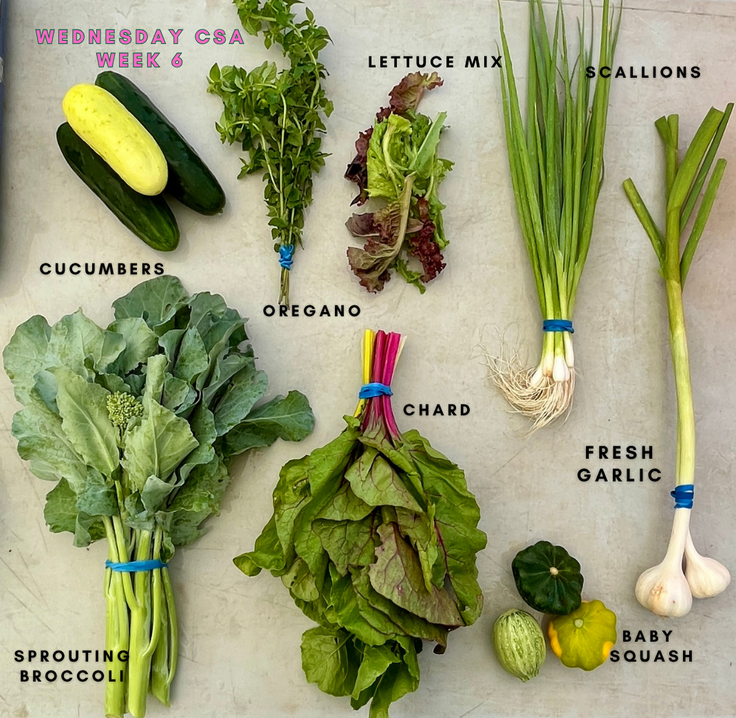Week 6 (Farm).png