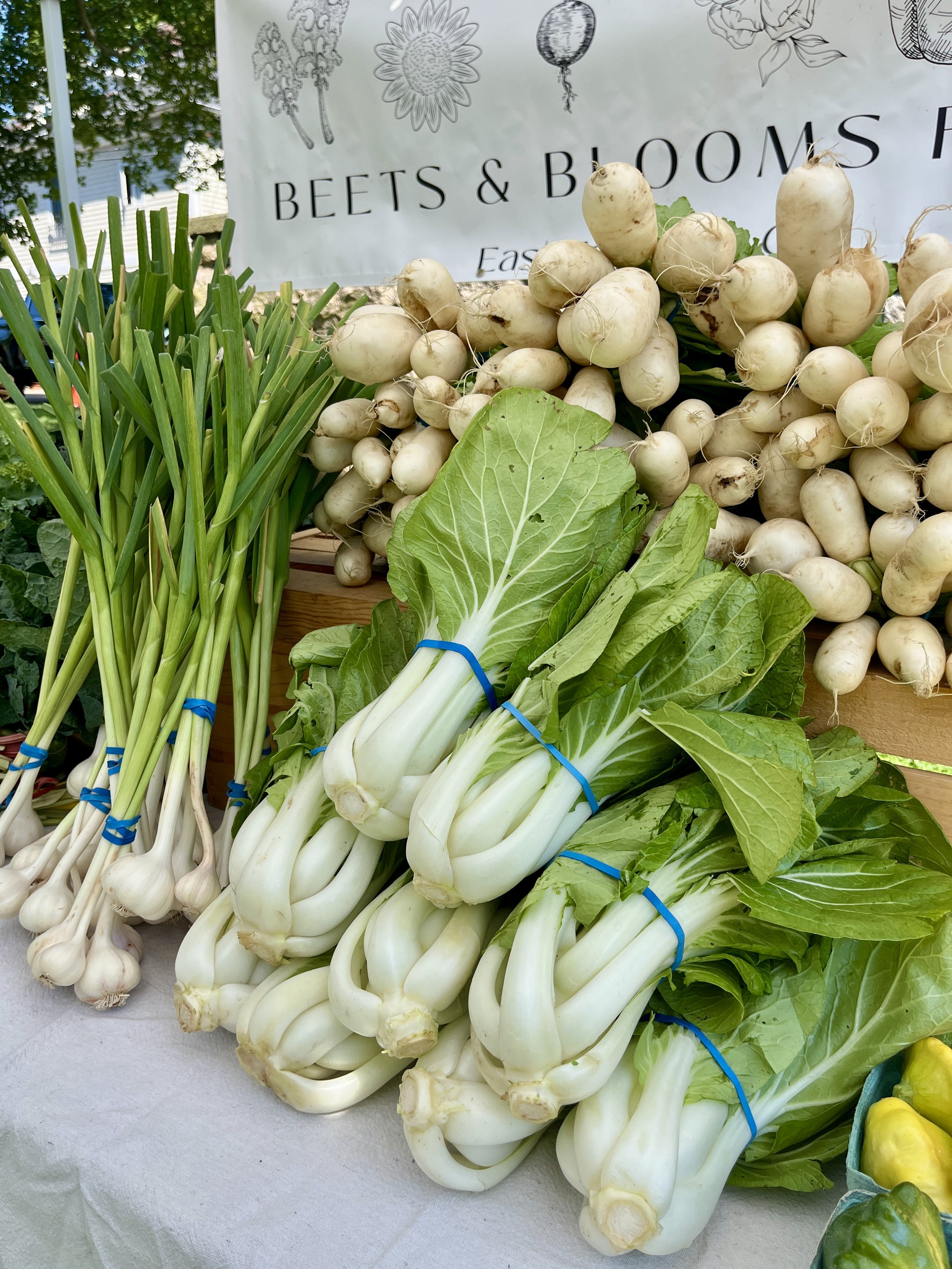 CSA for a Day