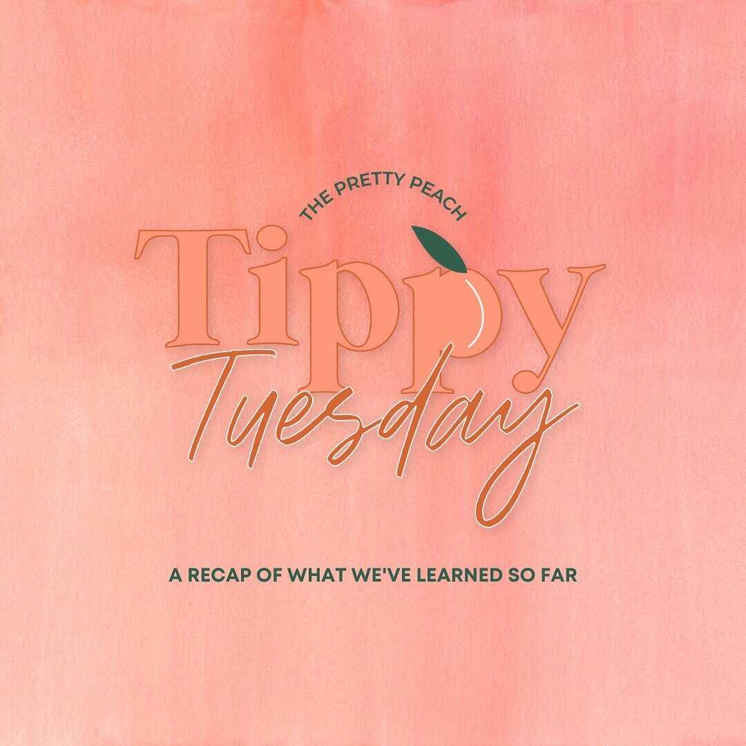 Hey Peachies! It&rsquo;s been a great few weeks of Tippy Tuesday so far and I thought it would be nice to recap what we&rsquo;ve learned so far! You can always refer to the Tippy Tuesday highlight to see any of the topics we&rsquo;ve covered so far. 