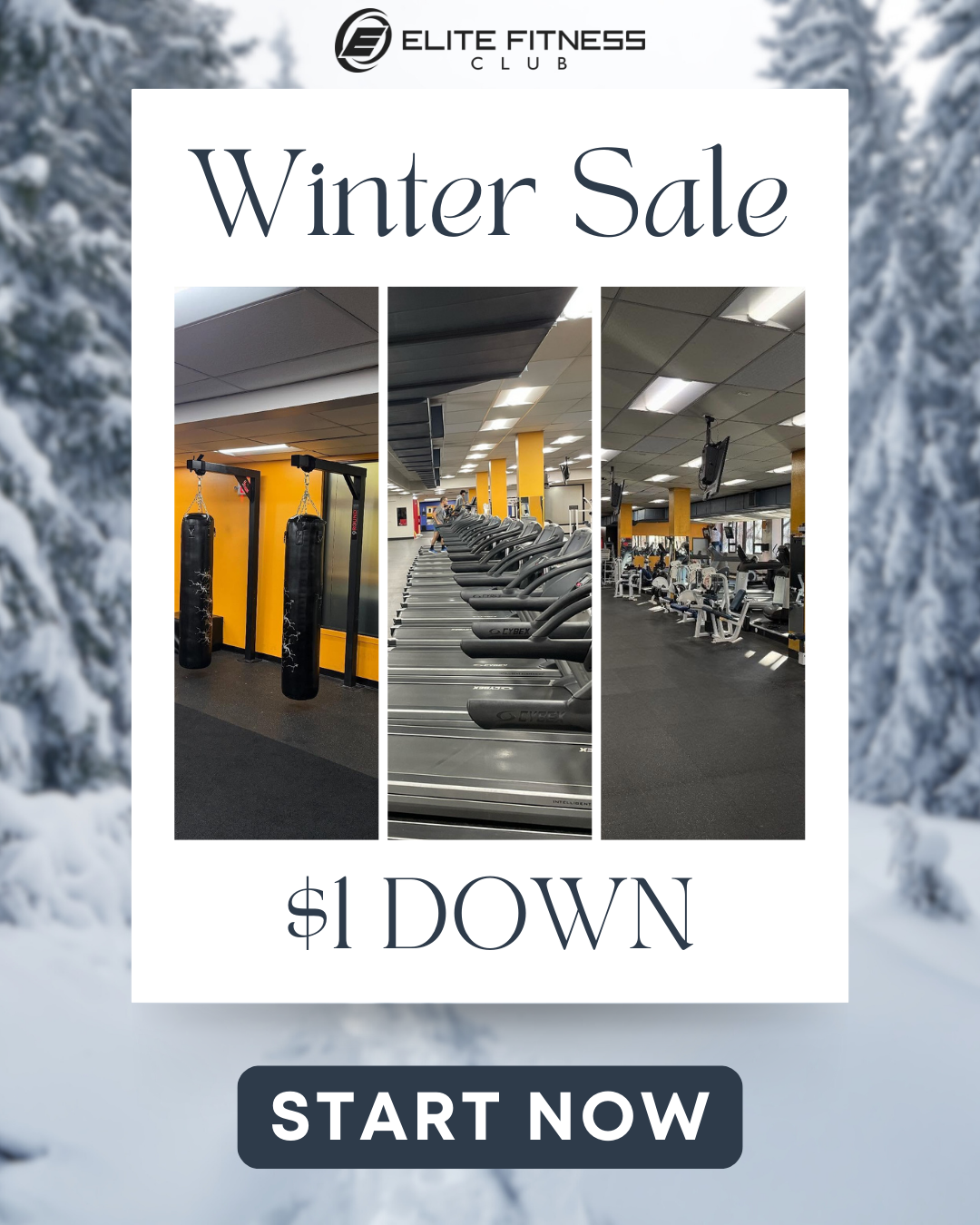 Join Elite Fitness for Just $1 Down—Winter Sale Ends December 21st!