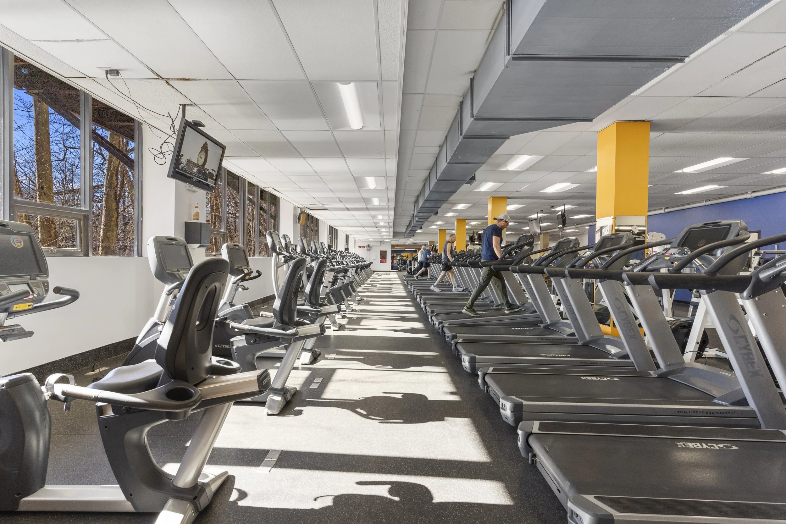 Your Guide to Finding the Best Gyms in Seymour, CT