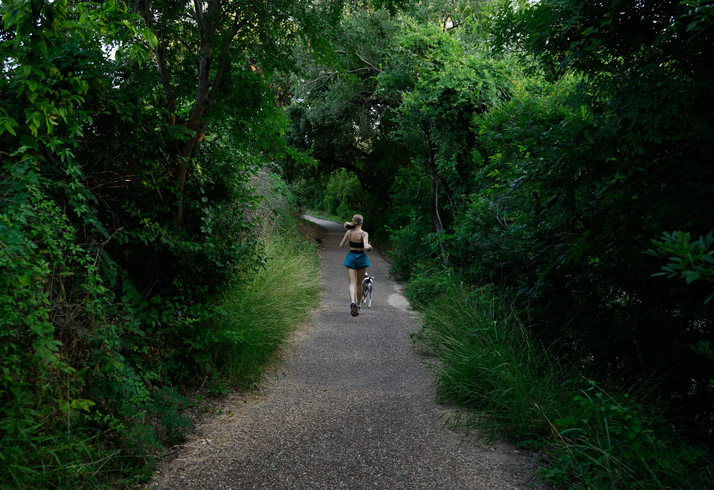 5 Hidden Hiking Trails near Seymour, CT for Your Active Recovery