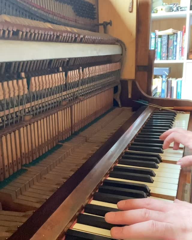 Spent a few hours on this lovely old piano, learning how to tune it. It’s almost there in terms of being tuned. Such an amazing reward to get to tinkle on it as it gets more and more in tune, like it’s coming back to life. *disclaimer I&r
