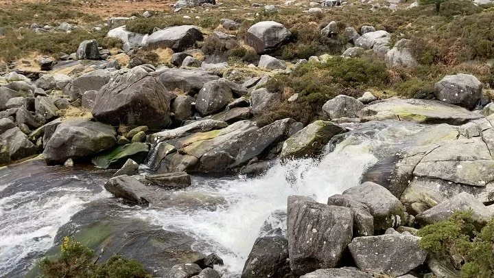 Lovely morning 🌅 in the #wicklowmountains 🥰