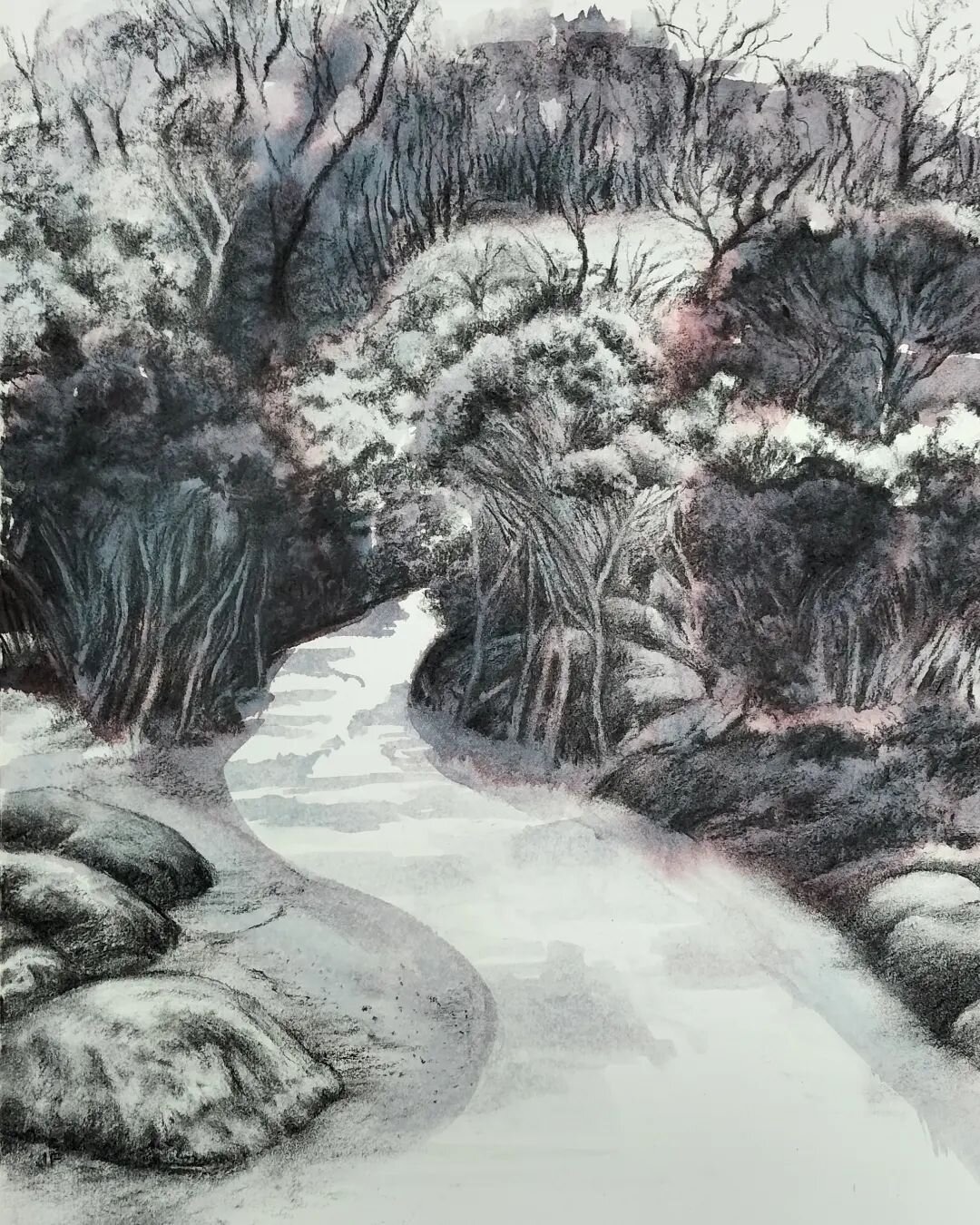 Recent charcoal drawing with water colour...a &quot;Sunday Stroll&quot; at Wilson's Prom.
I loved the soft mauves in the bush that day, happy with the result !
#wilsonsprom  #charcoaldrawing  #australianart  #australianbush #watercolorpainting