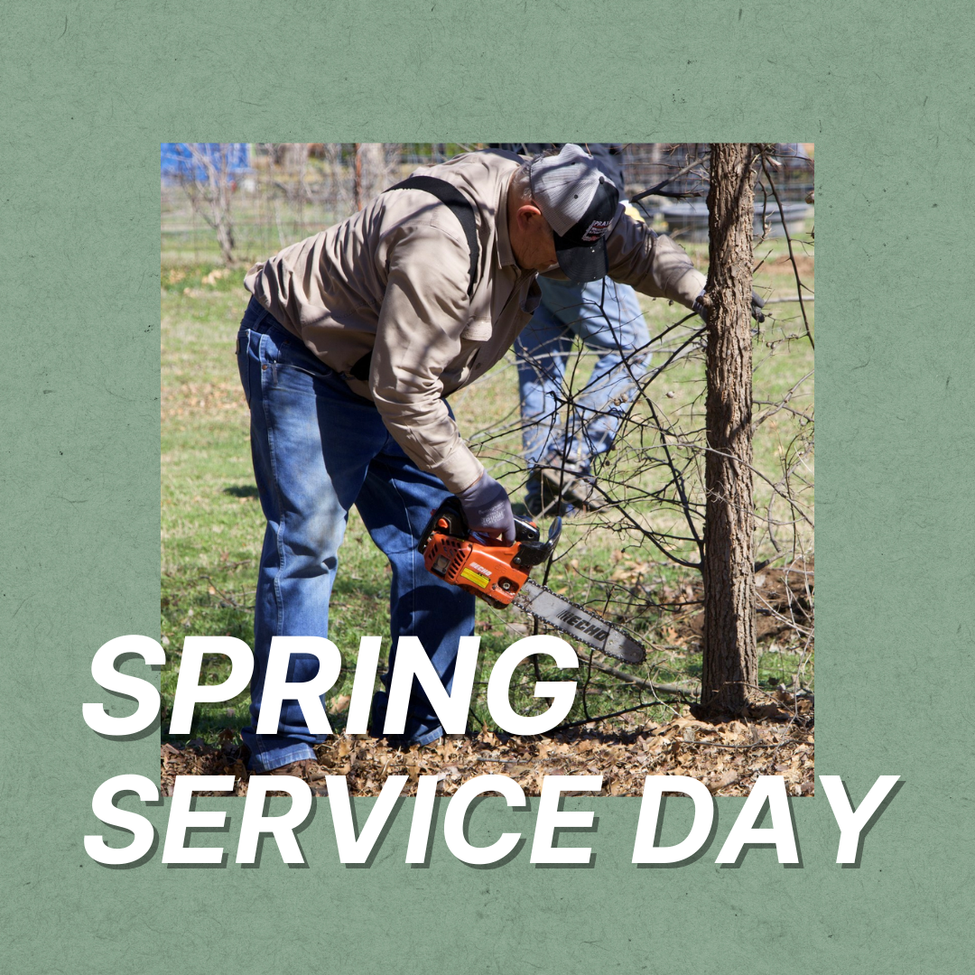 Spring Service Day