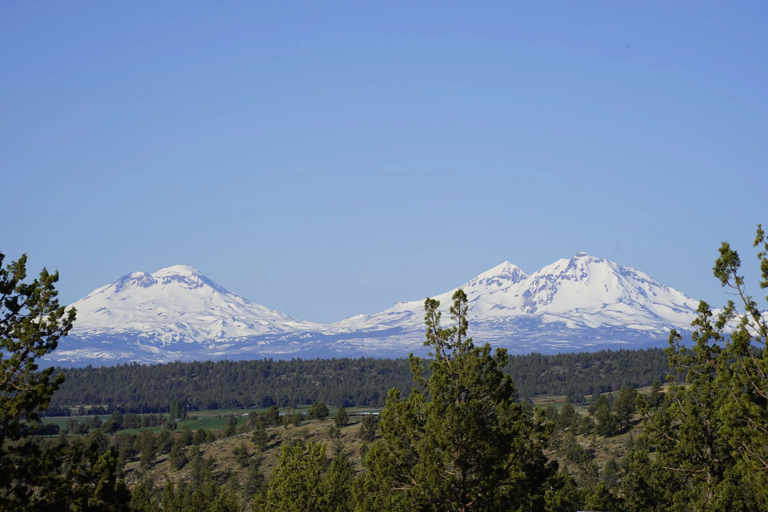 _DSC8142.JPG