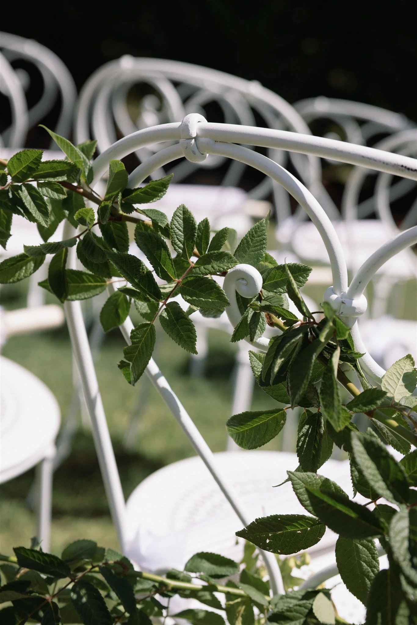 Wedding Floristry Redleaf Estate Luxury Wedding
