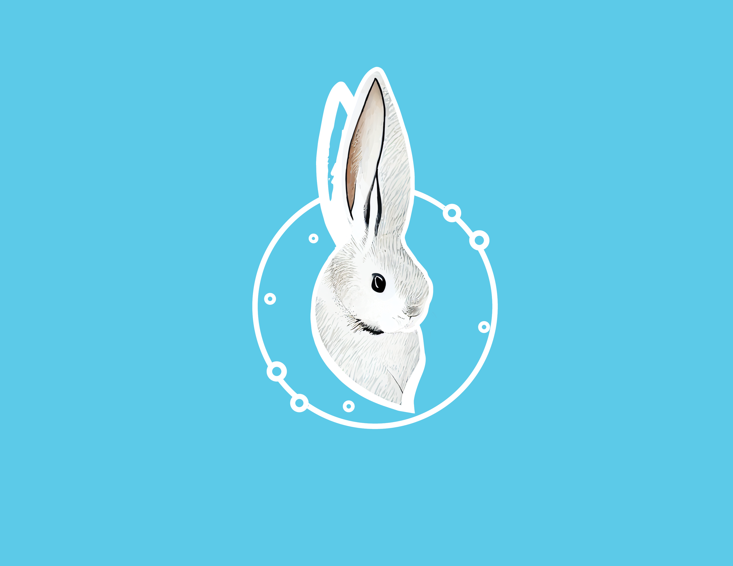 Rabbit 091422.png
