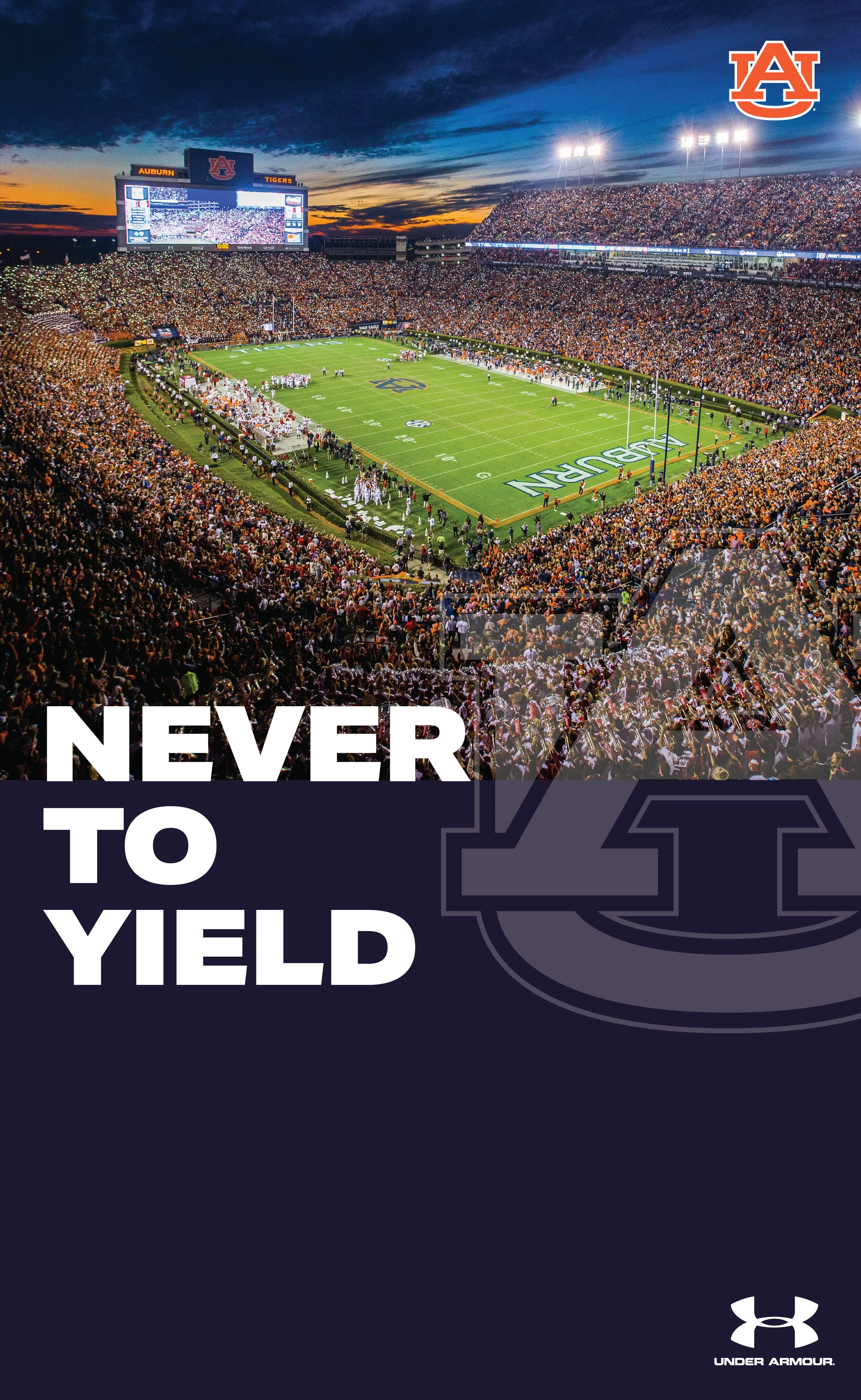 Design — DEVIN WOLFE DESIGN