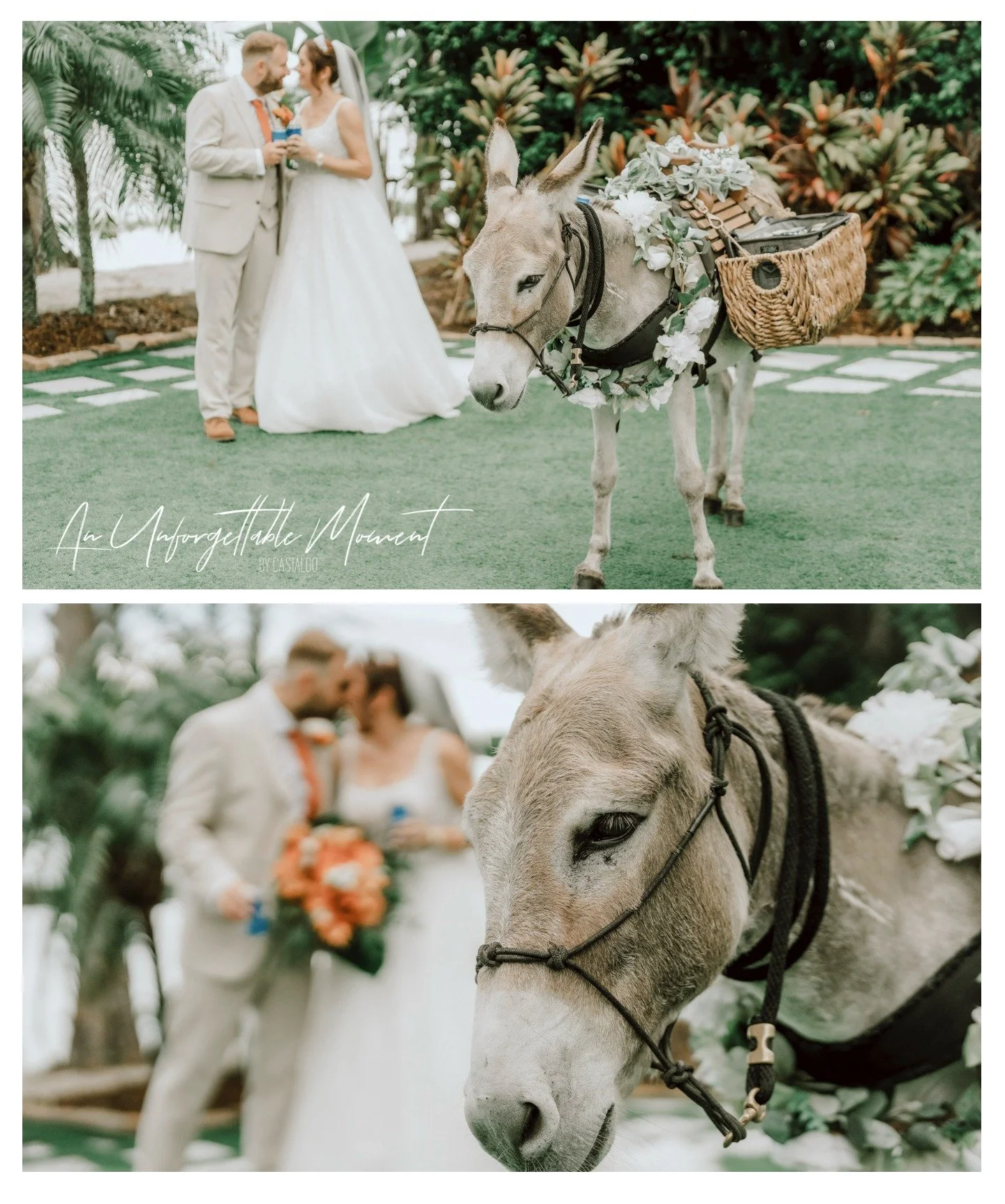 🙏💓 www.CASTALDOstudio.com Weddings :: Photo :: Cinema 😍 Alyssa and Edward 😍 #paradisecoveorlando #paradisecove :: @cecily_castaldo 💓 @paradisecoveorlando 💓 Paradise Cove Orlando 💓 @p.s.iloveyouprod