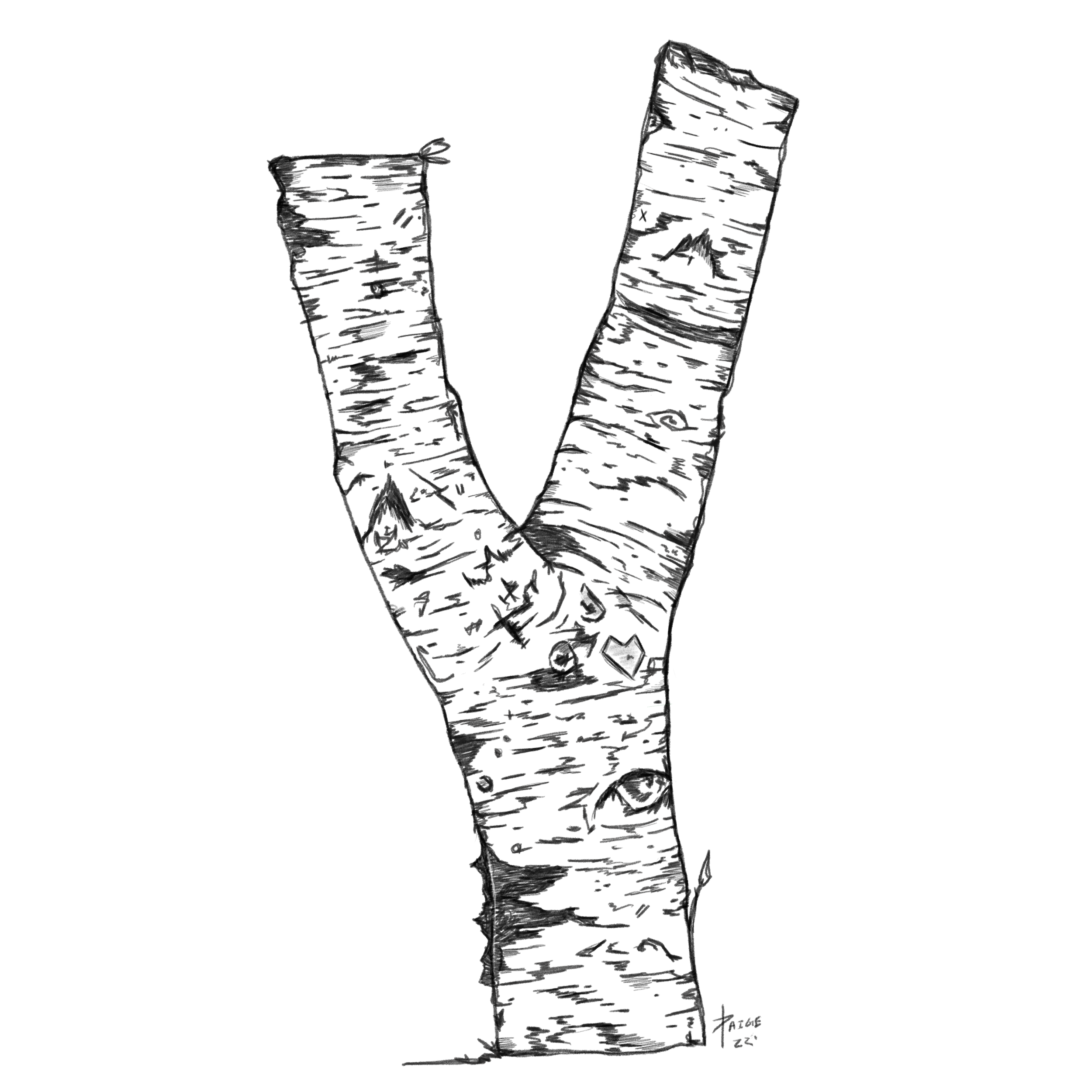 IMG_4234.PNG
