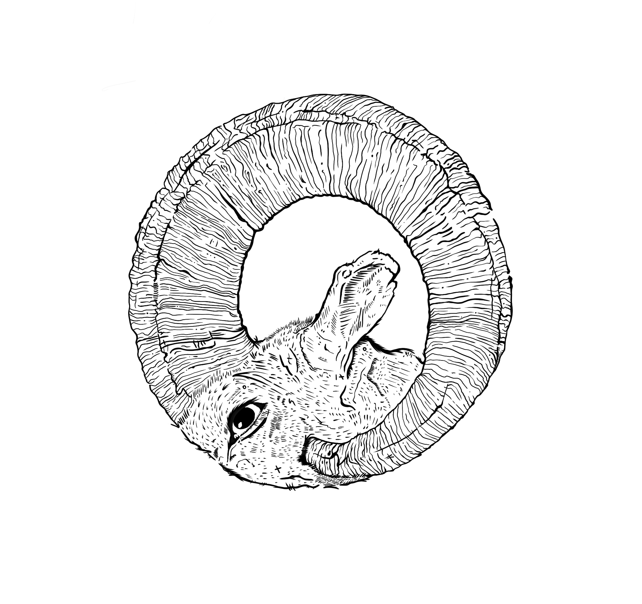 IMG_4207.PNG