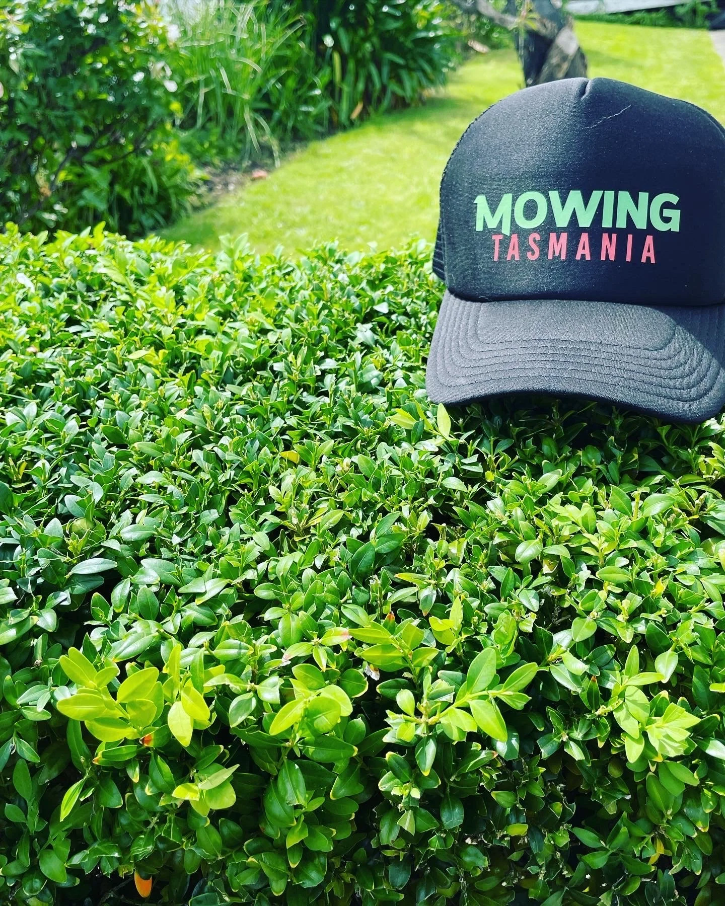 About 5 Mowing Tasmania about-5-mowing-tasmania