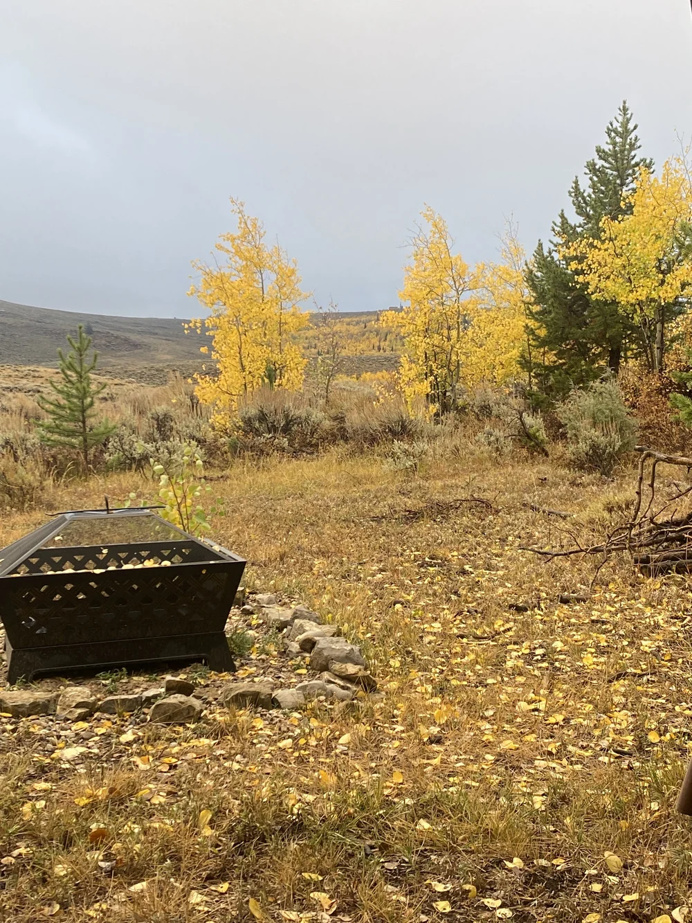 Commissary Owners Pictures — Commissary Ranches