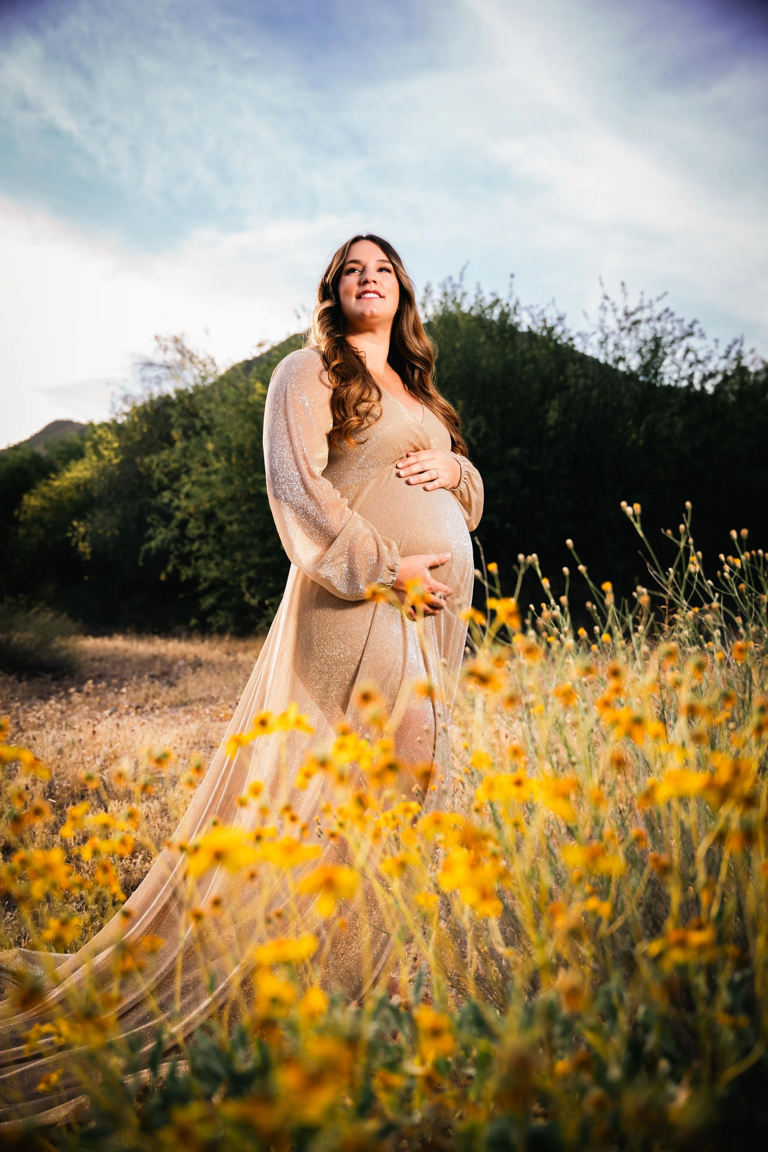 Maternity Salt River Arizona long dress.jpg