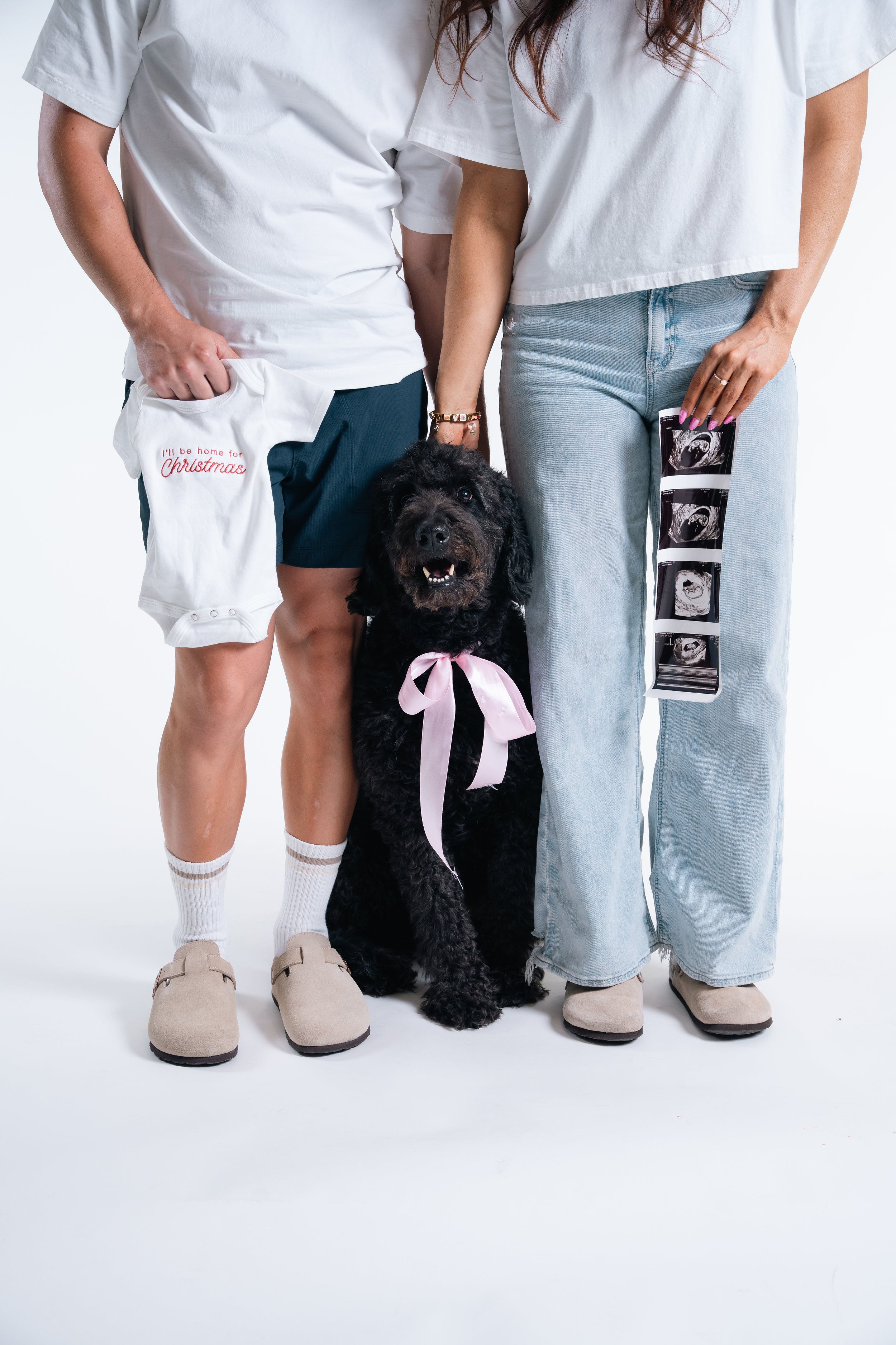 Gender Reveal Pet Dog Phoenix Arizona.jpg