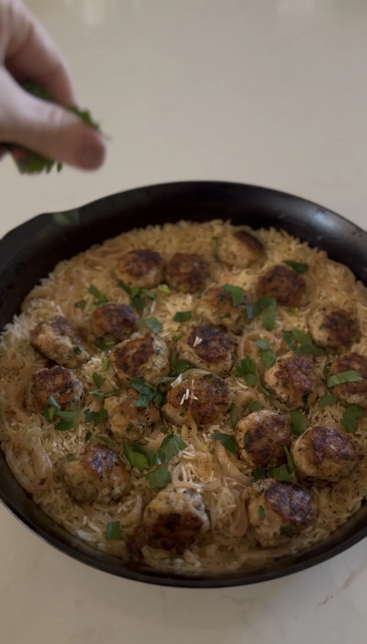 Chicken Meatballs + Rice
