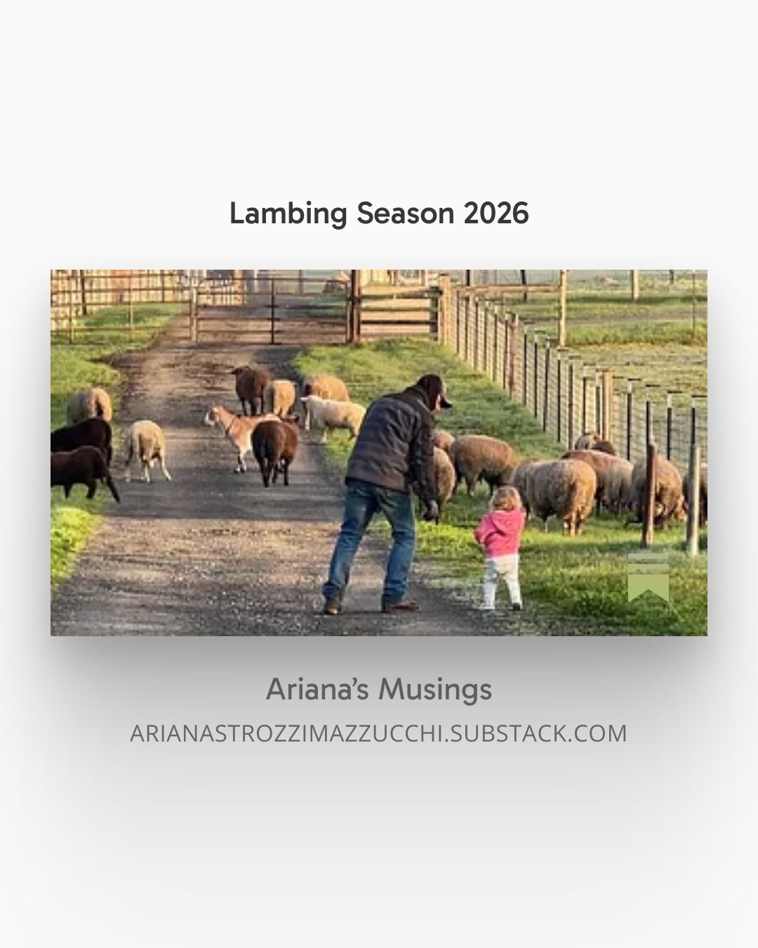 Lambing Season 2026, a mix of emotions, life and death