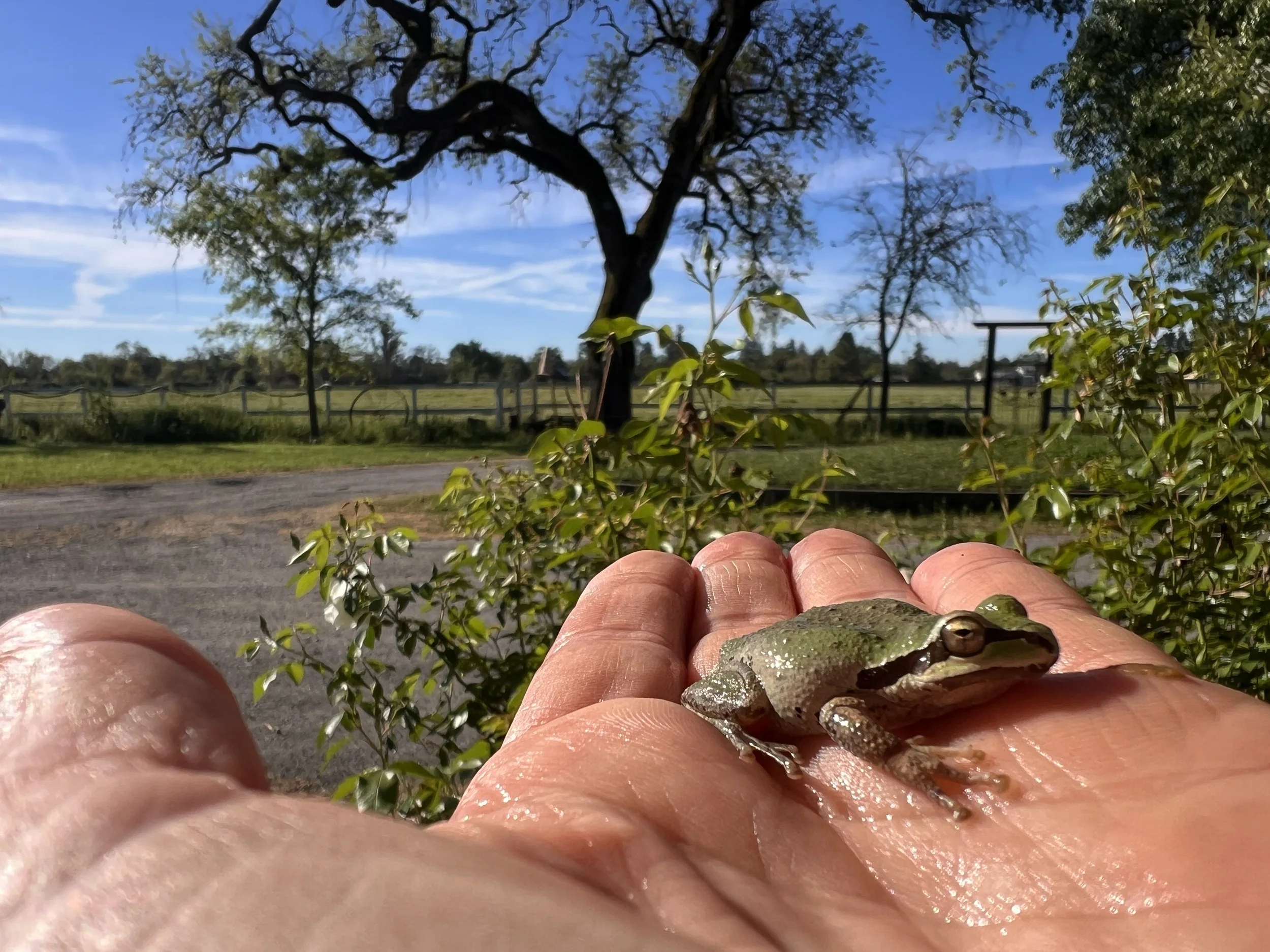 Essence & Earth Retreat | April 10-12, 2026